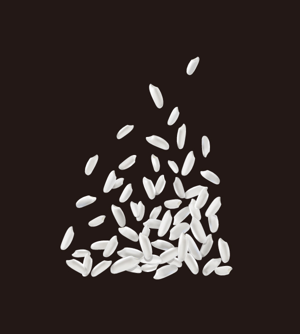 洁白米粒矢量