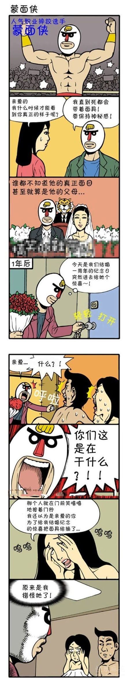 蒙面侠