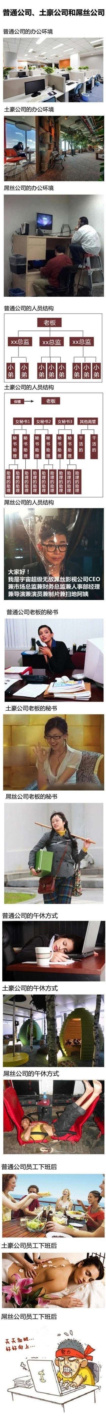 公司的区别