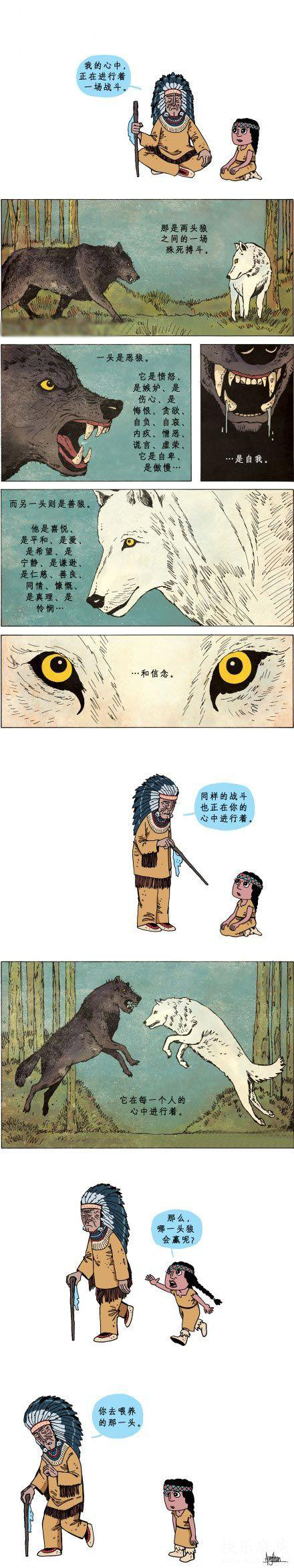 狼的斗争