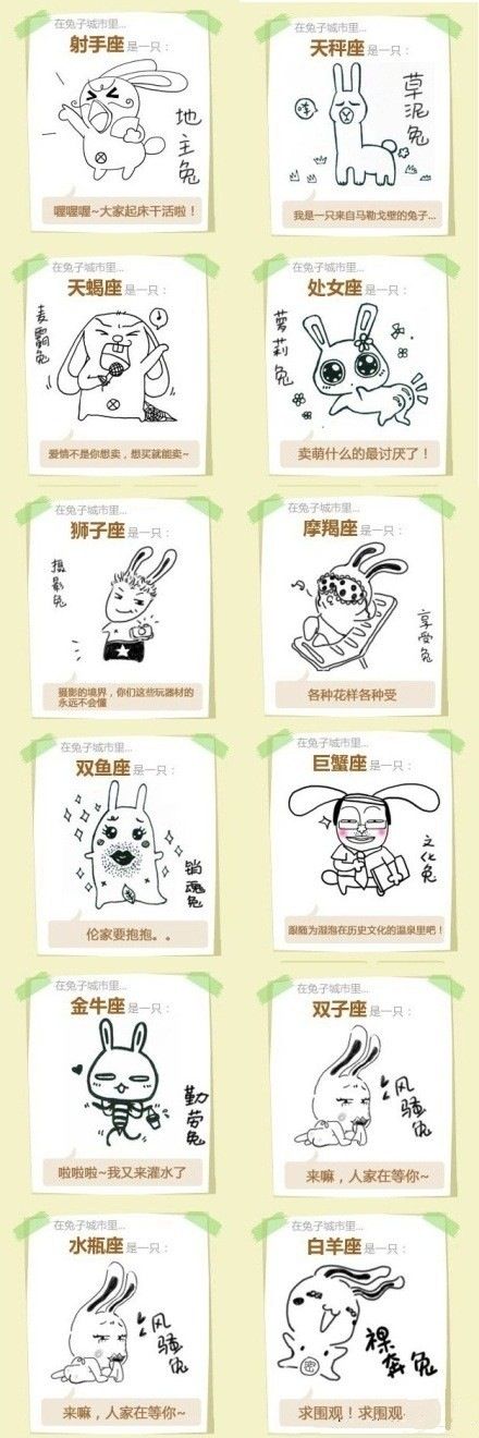 十二星座兔的区别