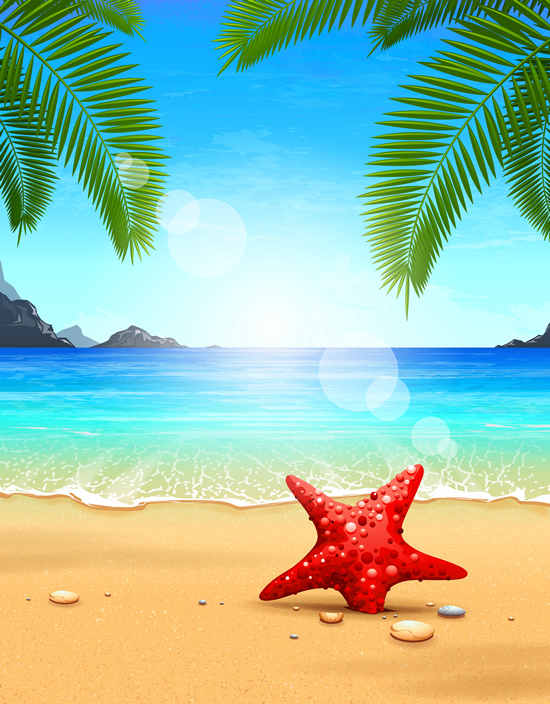 海星矢量图