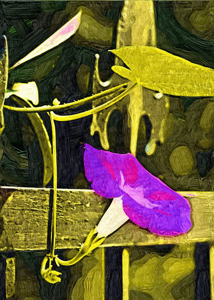 牵牛花油画