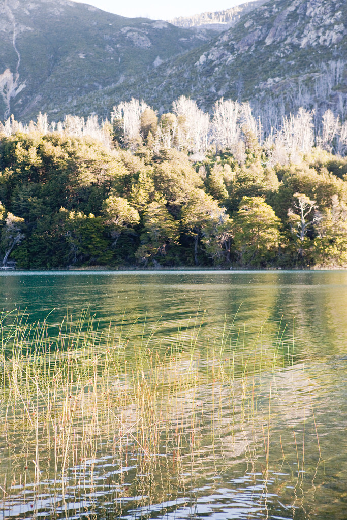 阿根廷湖景