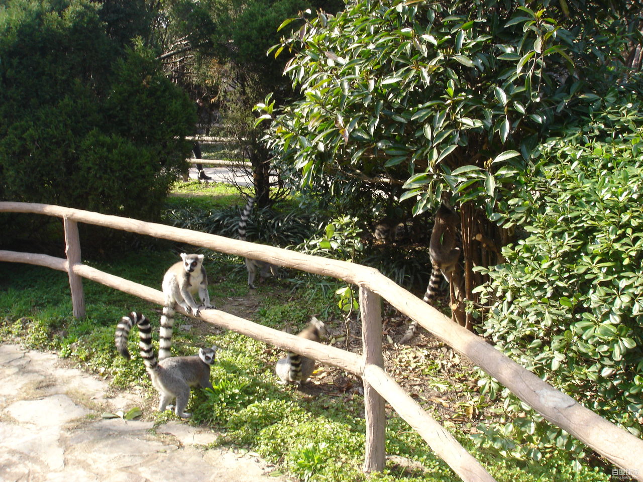 上海野生动物园