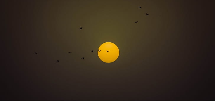 夕阳与鸟儿