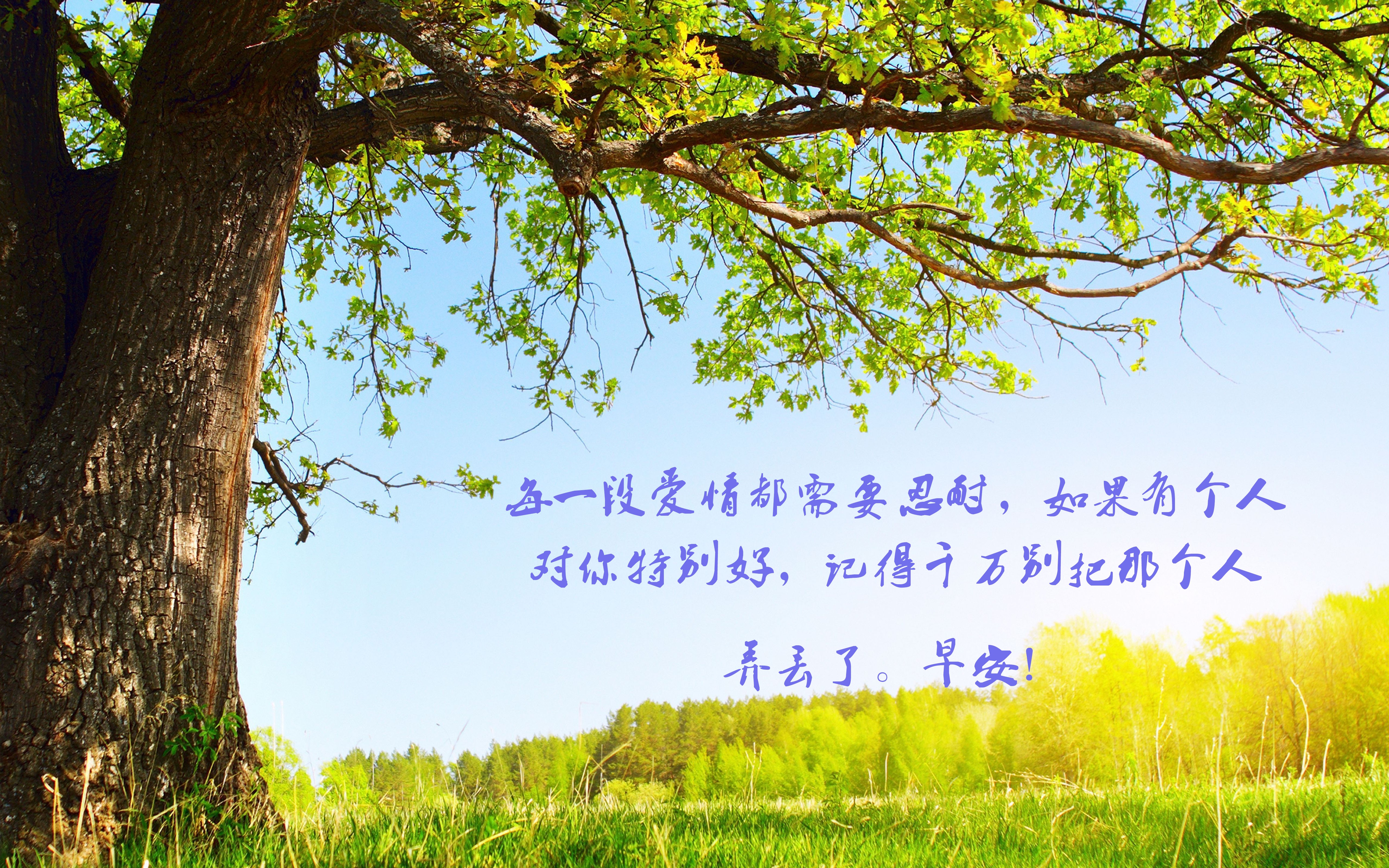 每个清晨醒来的简短早安心语图片