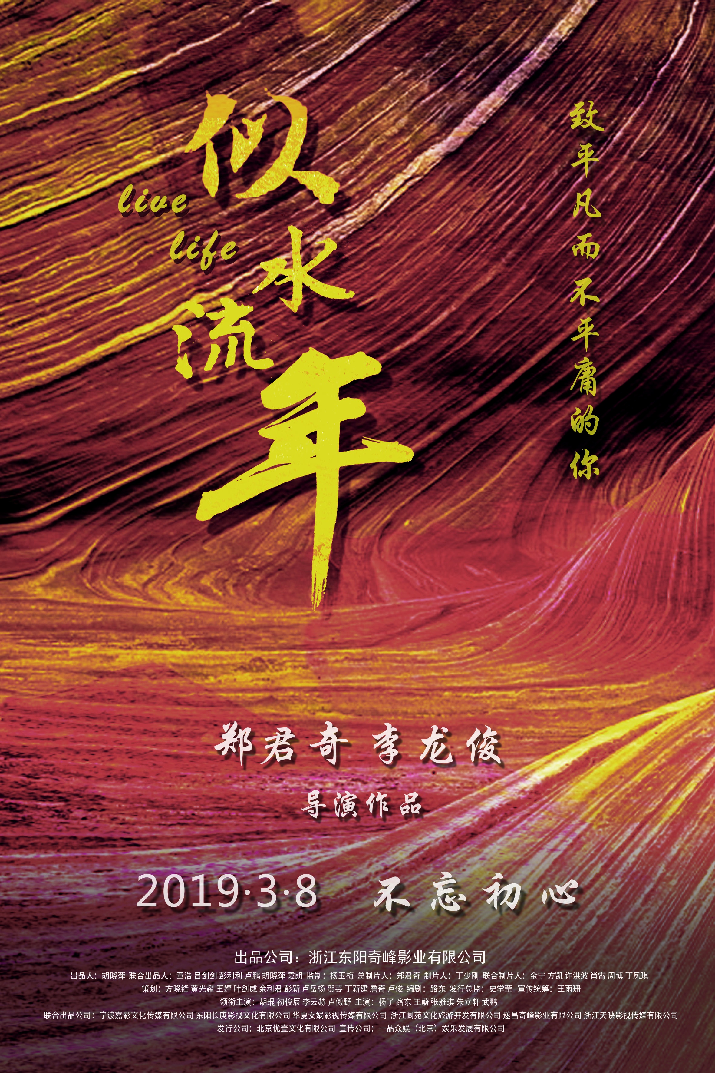 似水流年 (2019)