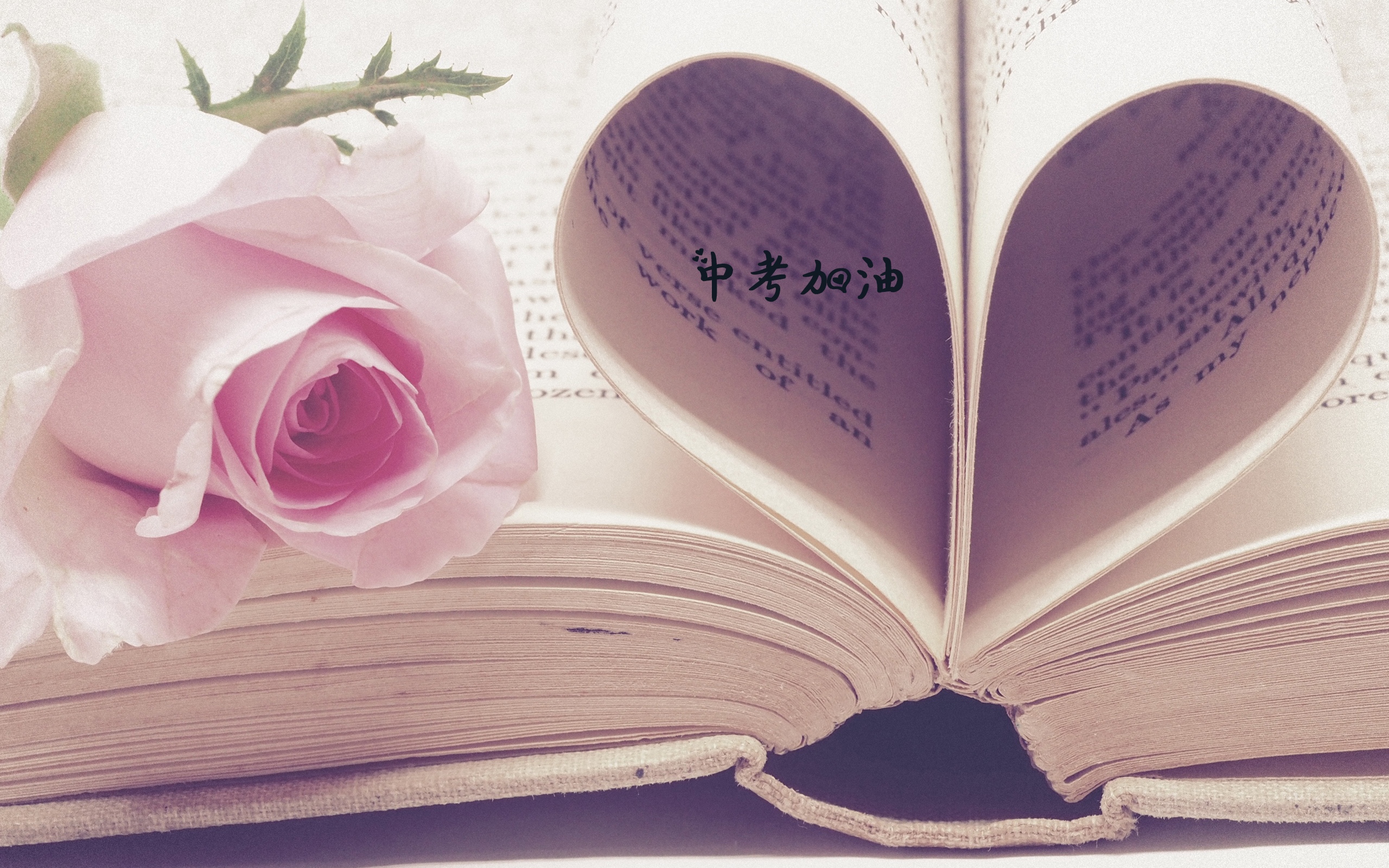 超越梦想,中考加油