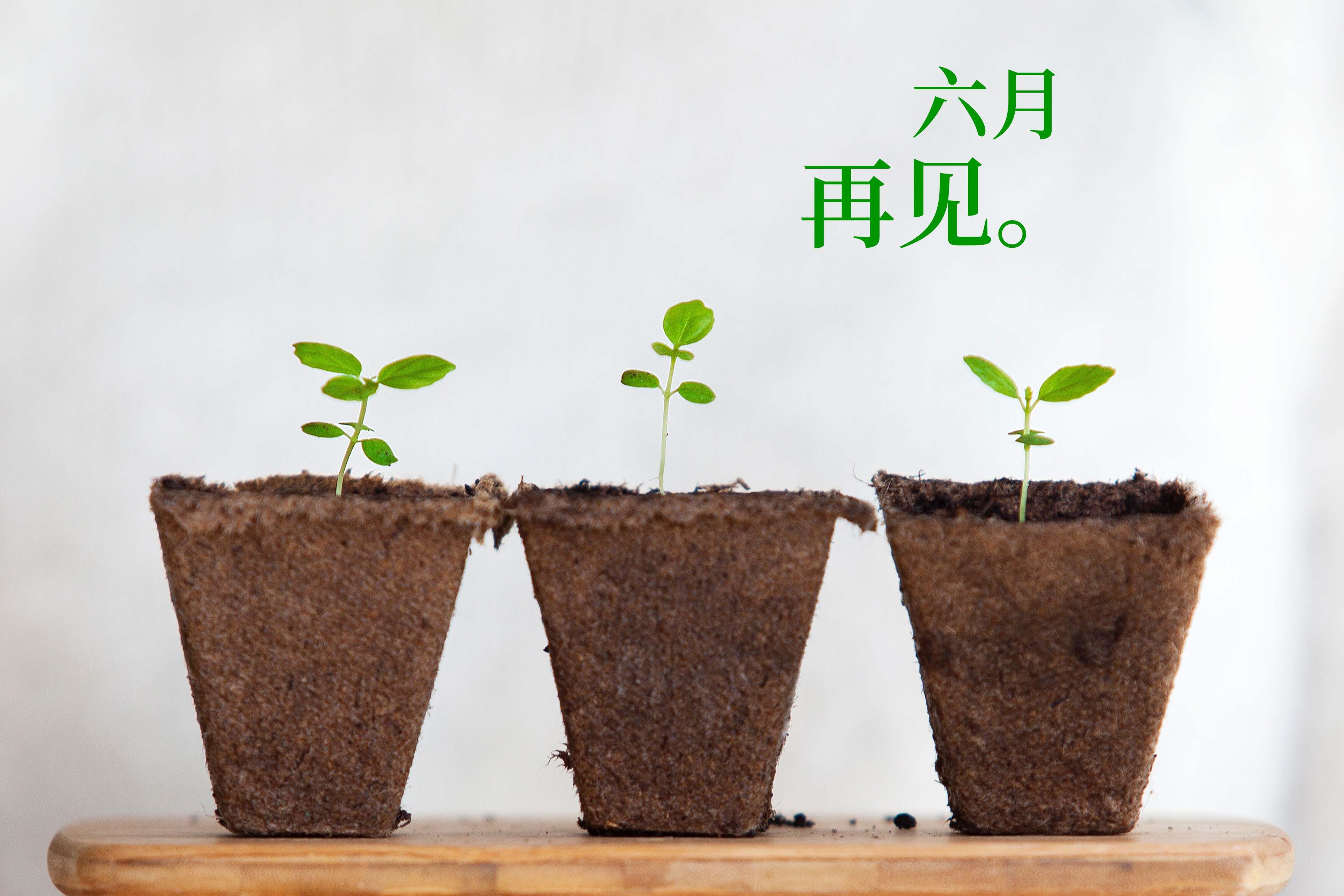 六月再见,七月你好