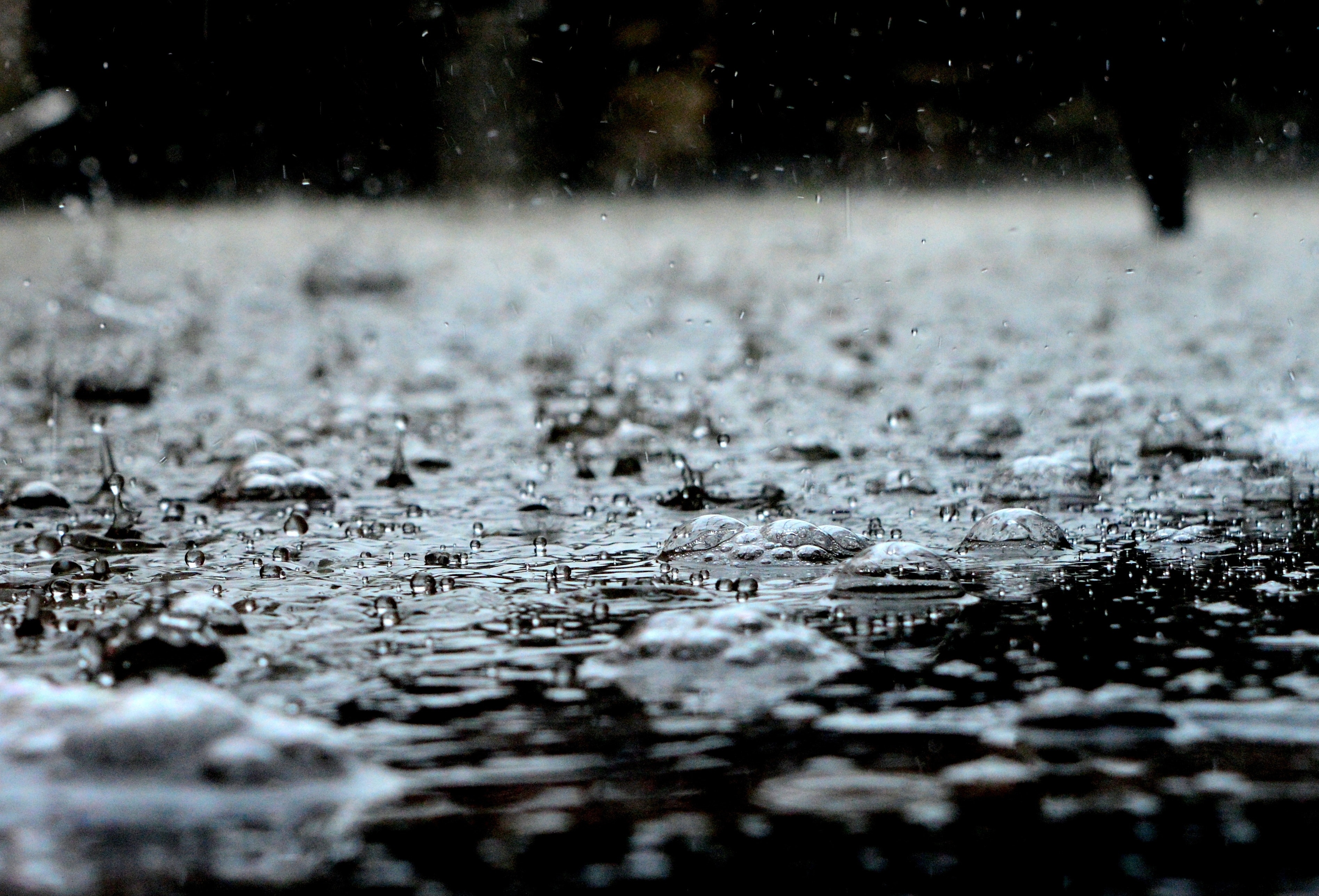 唯美的雨中风景