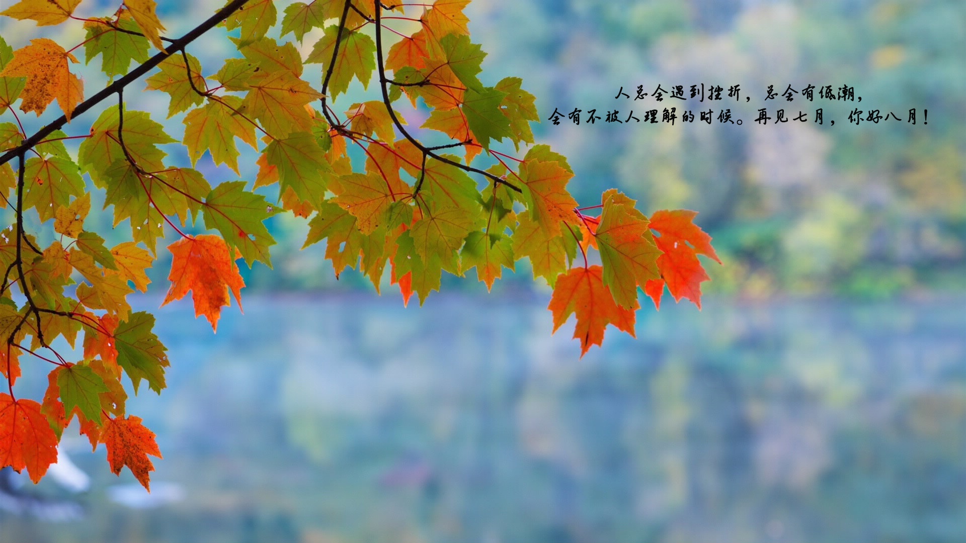 告别七月迎接八月的句子图片