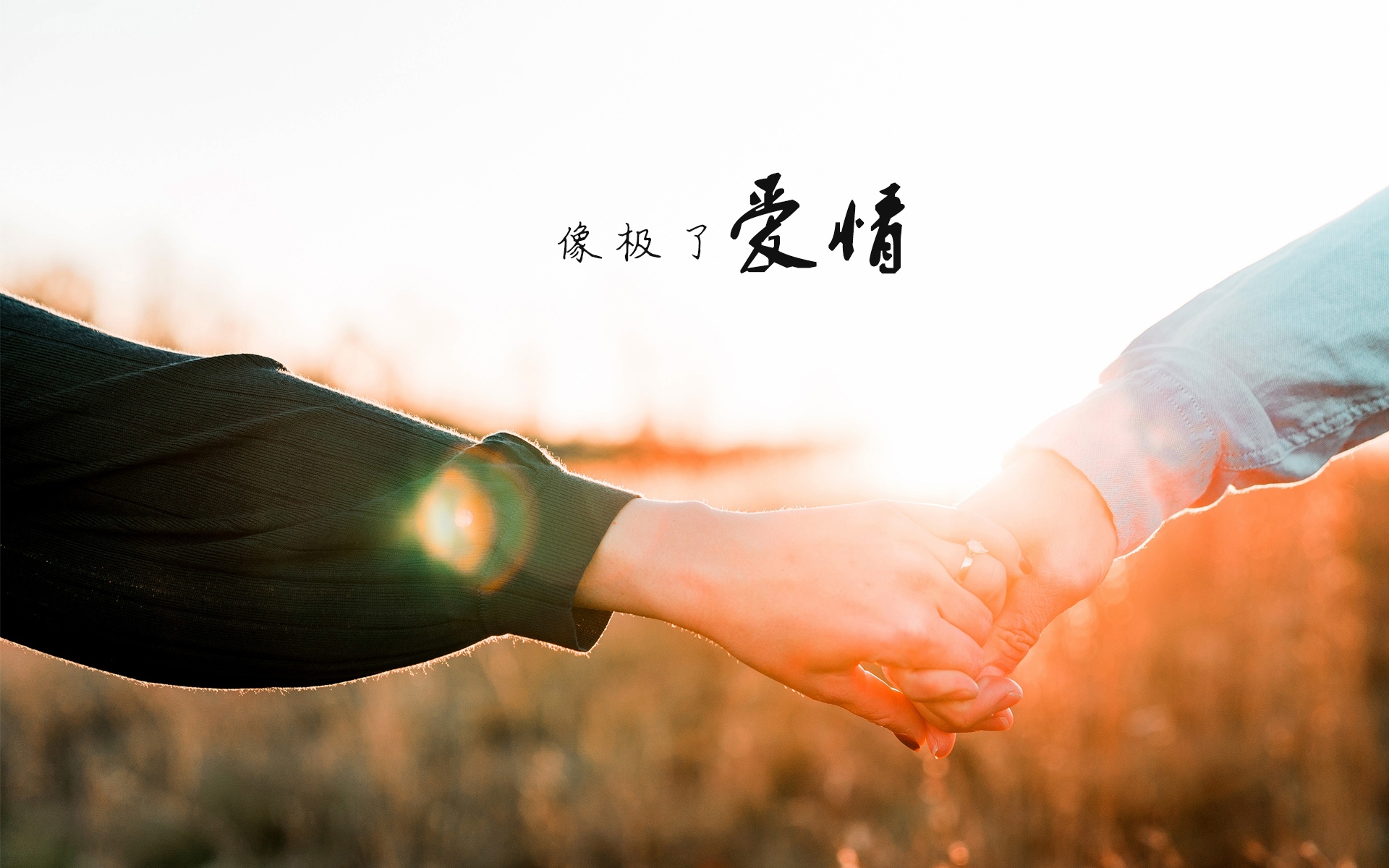 我们之间,像极了爱情