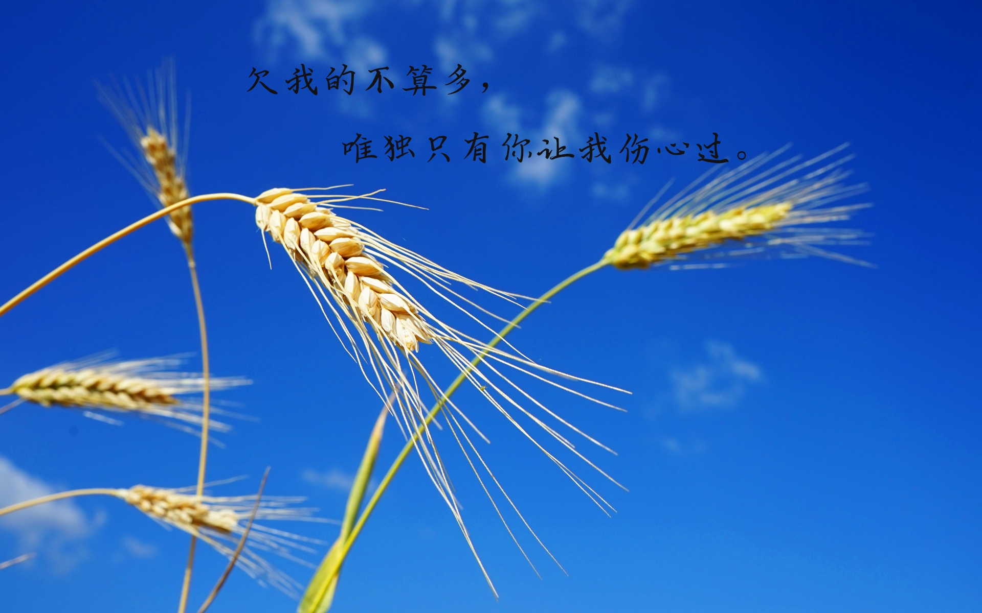 无奈失望的说说带字图片