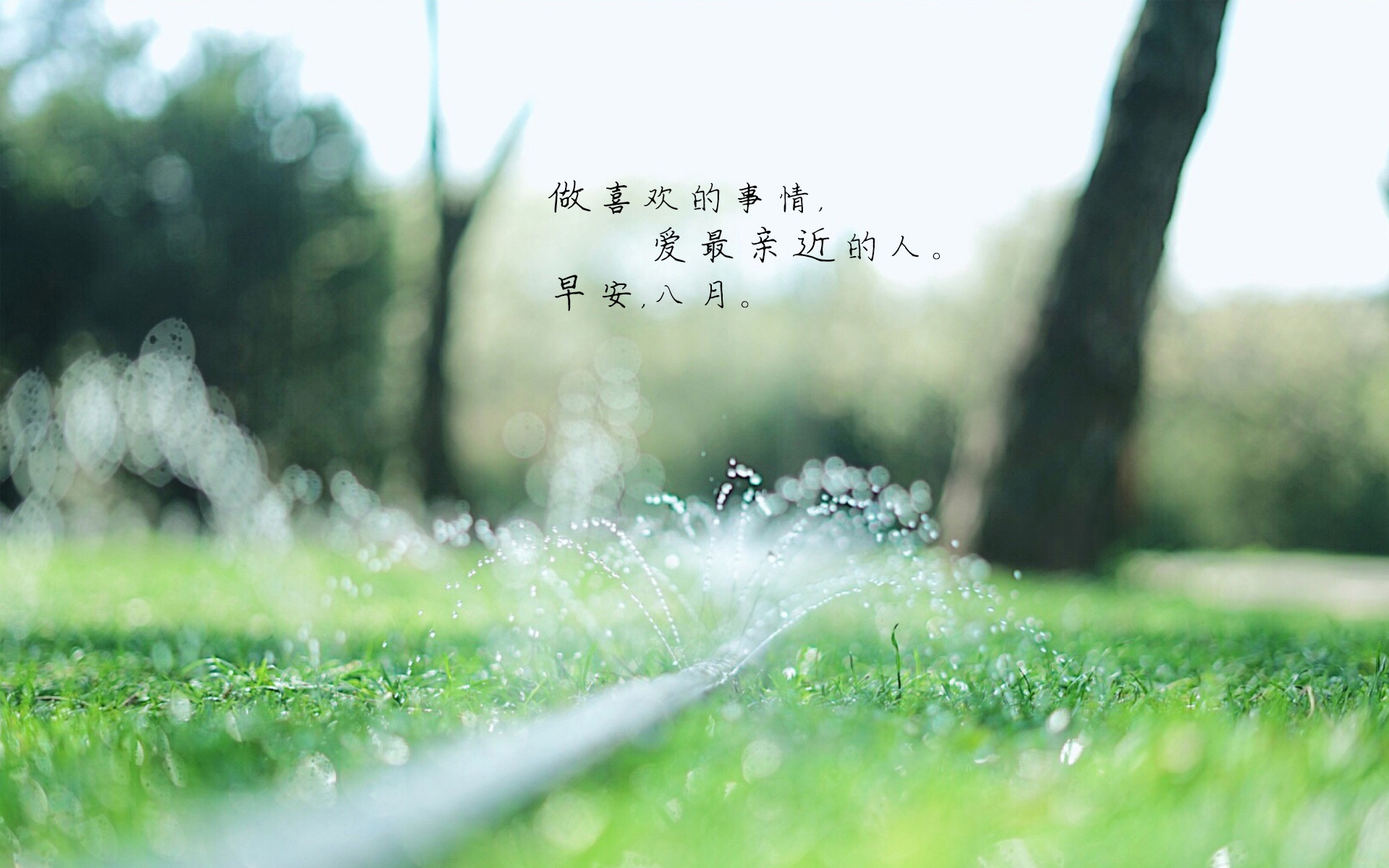 早安八月心语图片