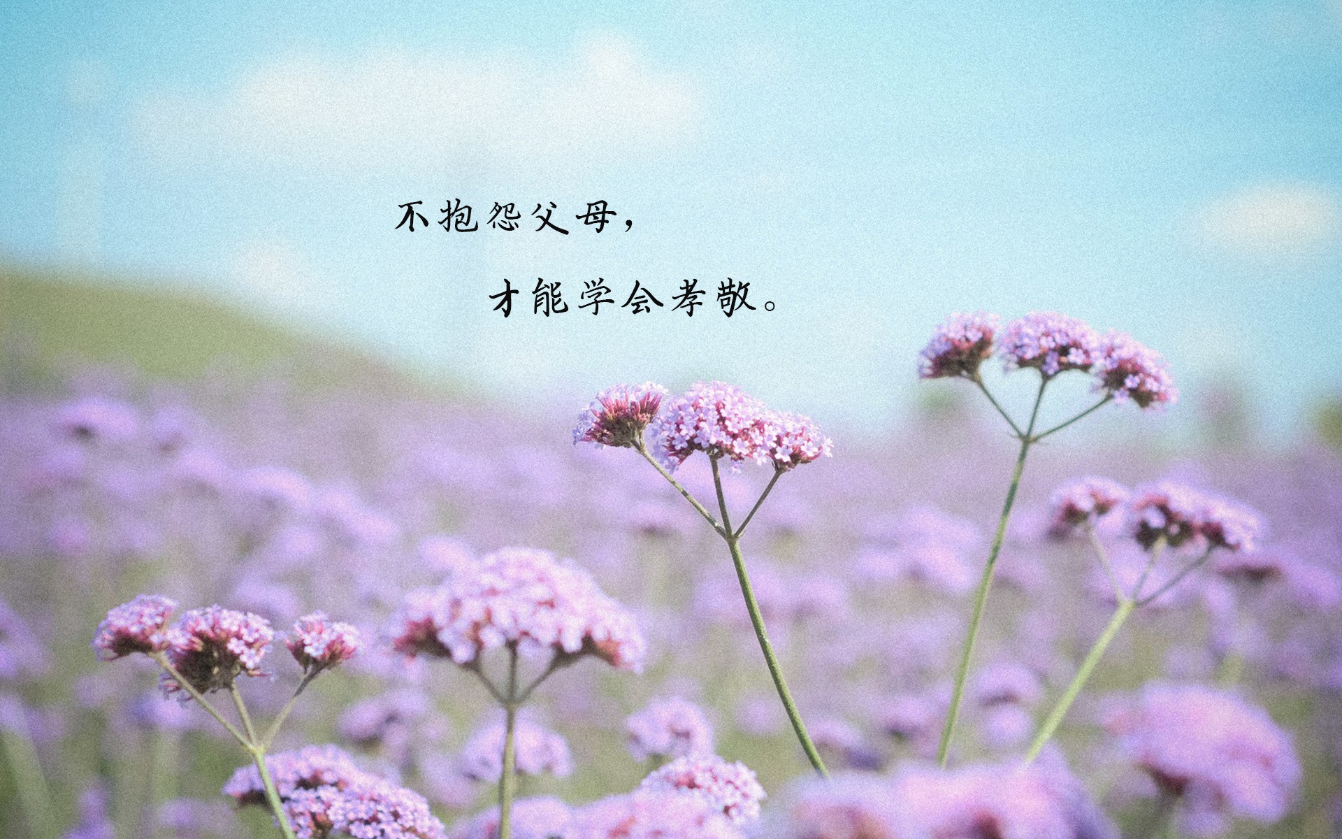 不要抱怨生活的说说图片