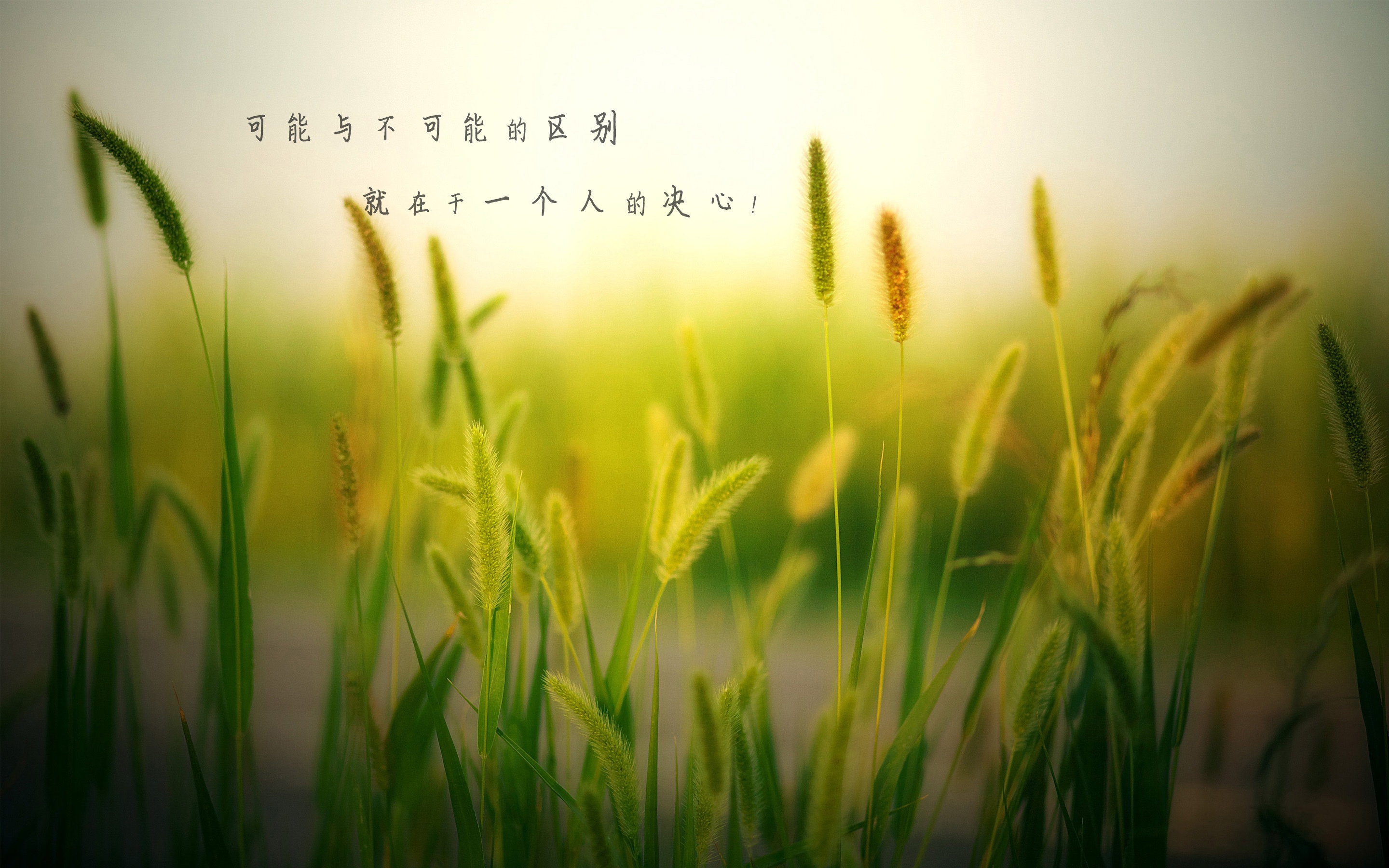 迎接八月的励志说说图片