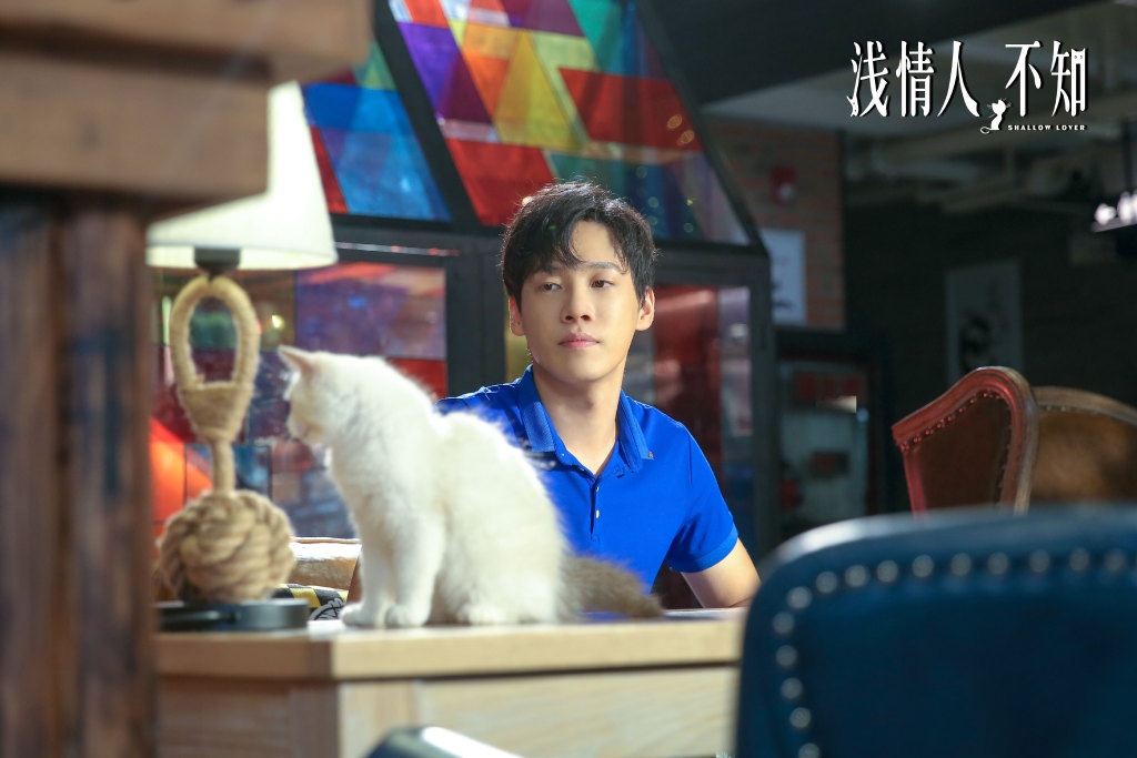 《浅情人不知》唯美剧照