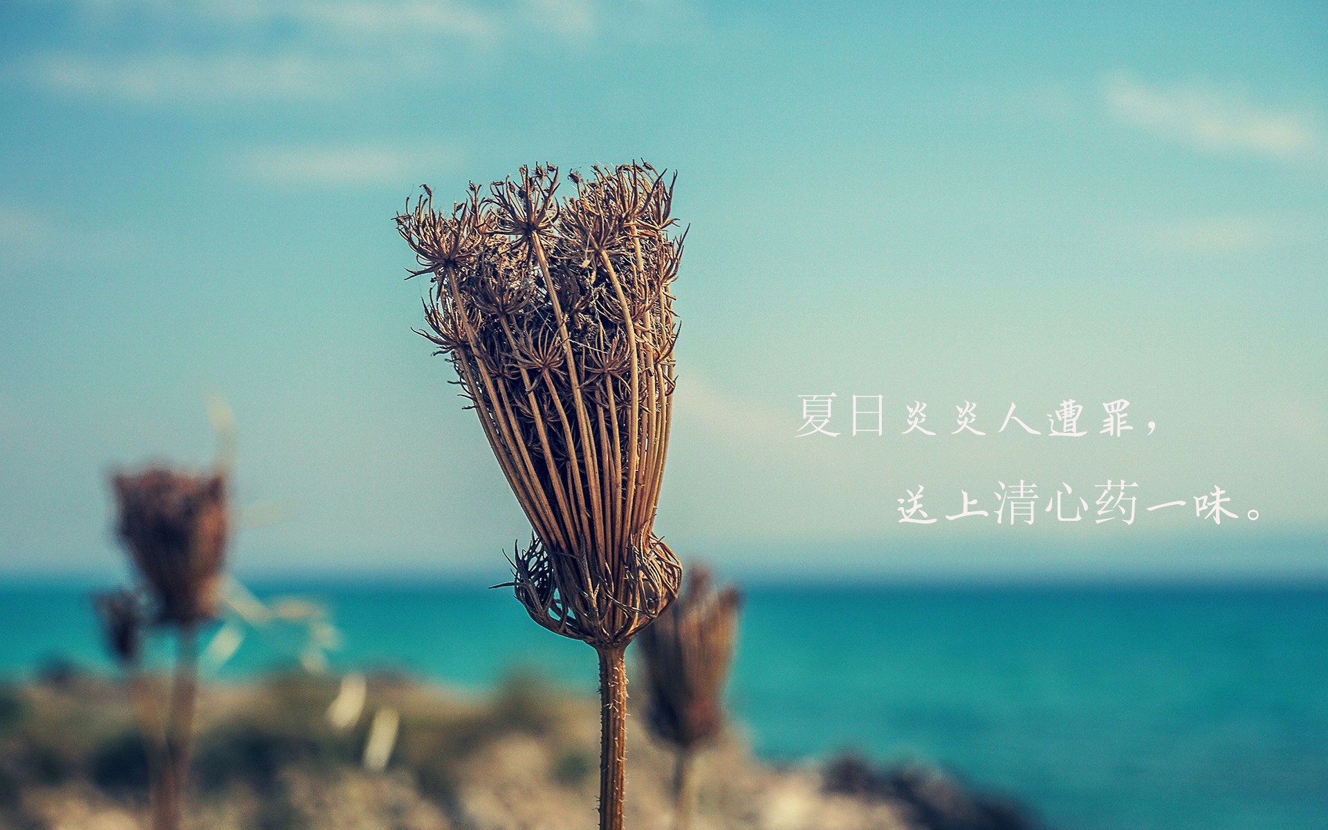微信朋友圈表达夏天热说说