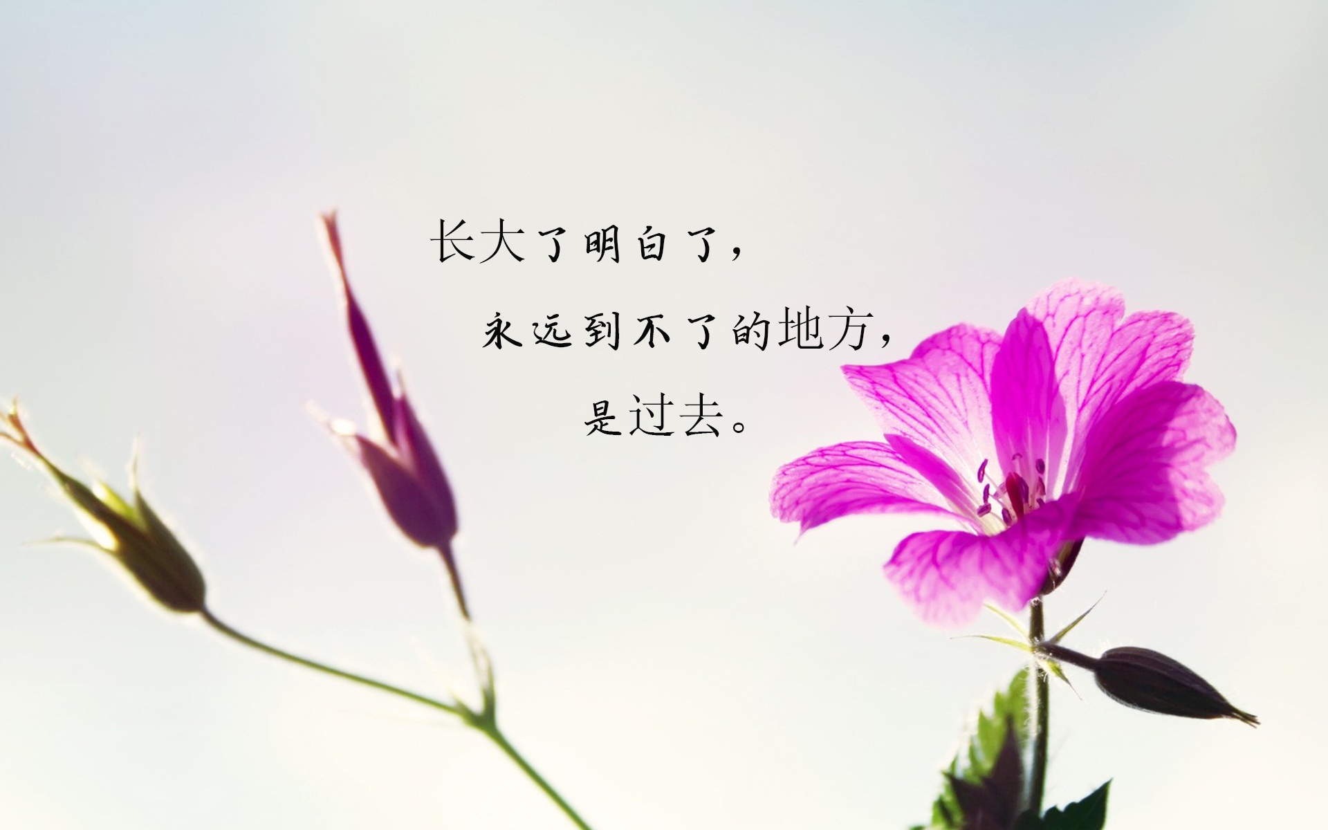 再见过去,未来你好