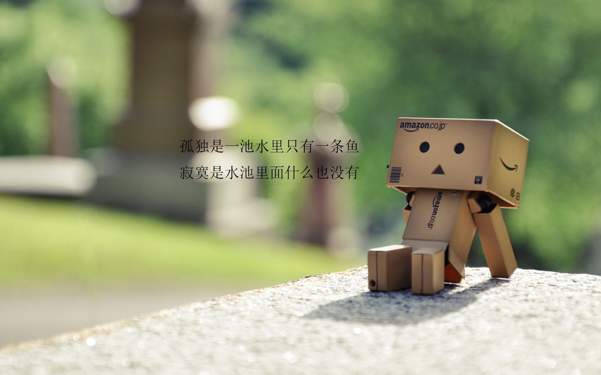 你说孤独伤心应该是有体会