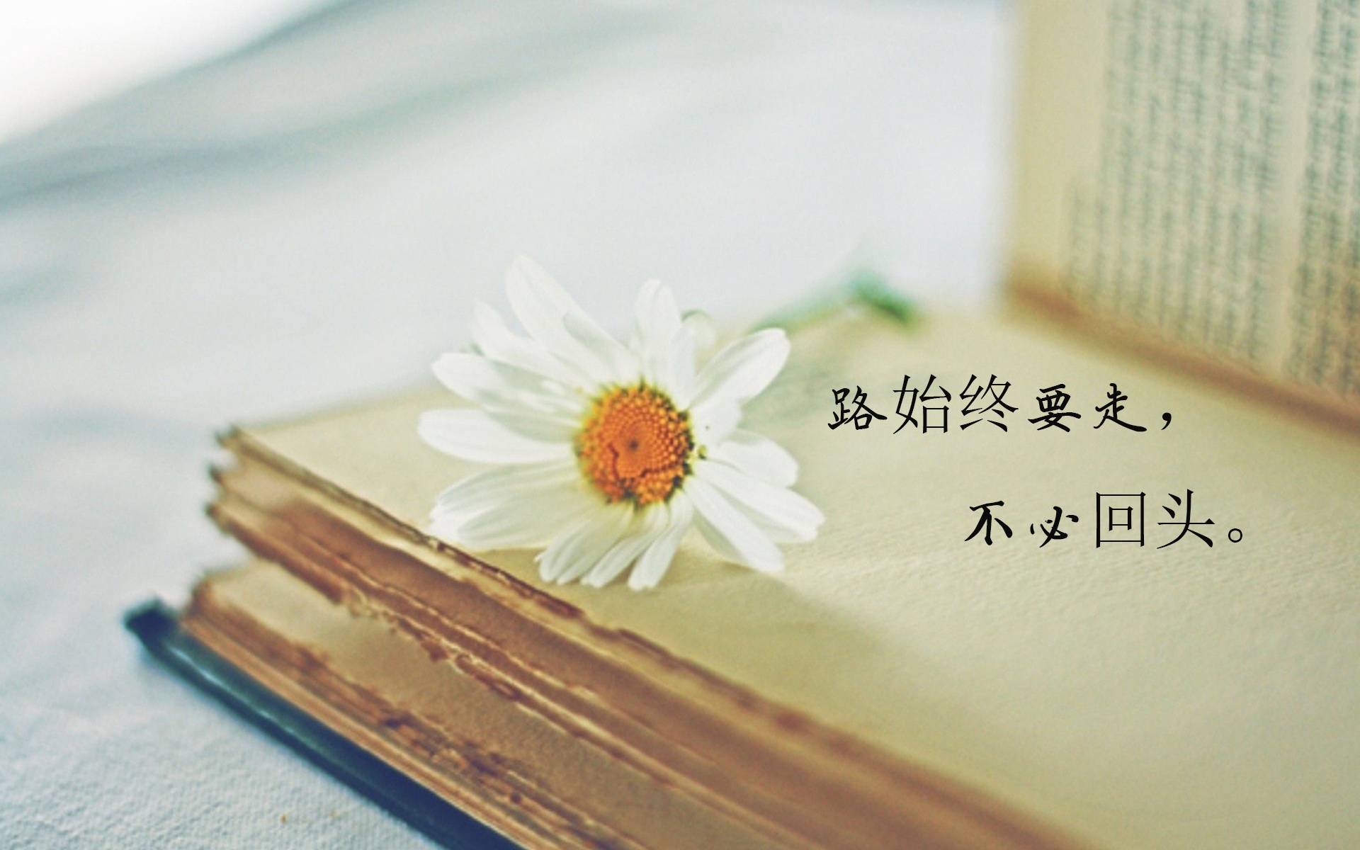 写给2020年即将高考的自己