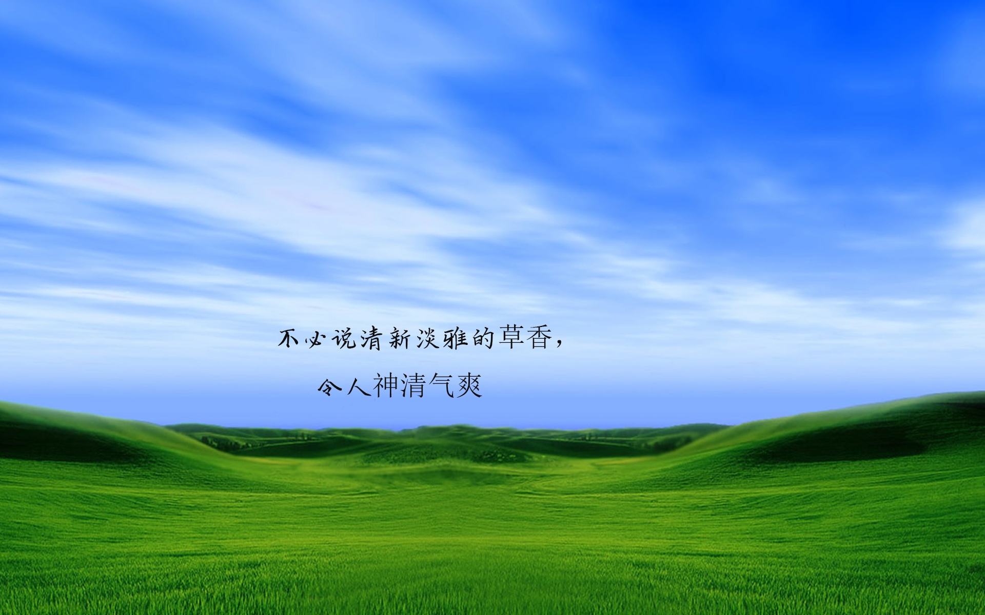 美丽的草原心情说说