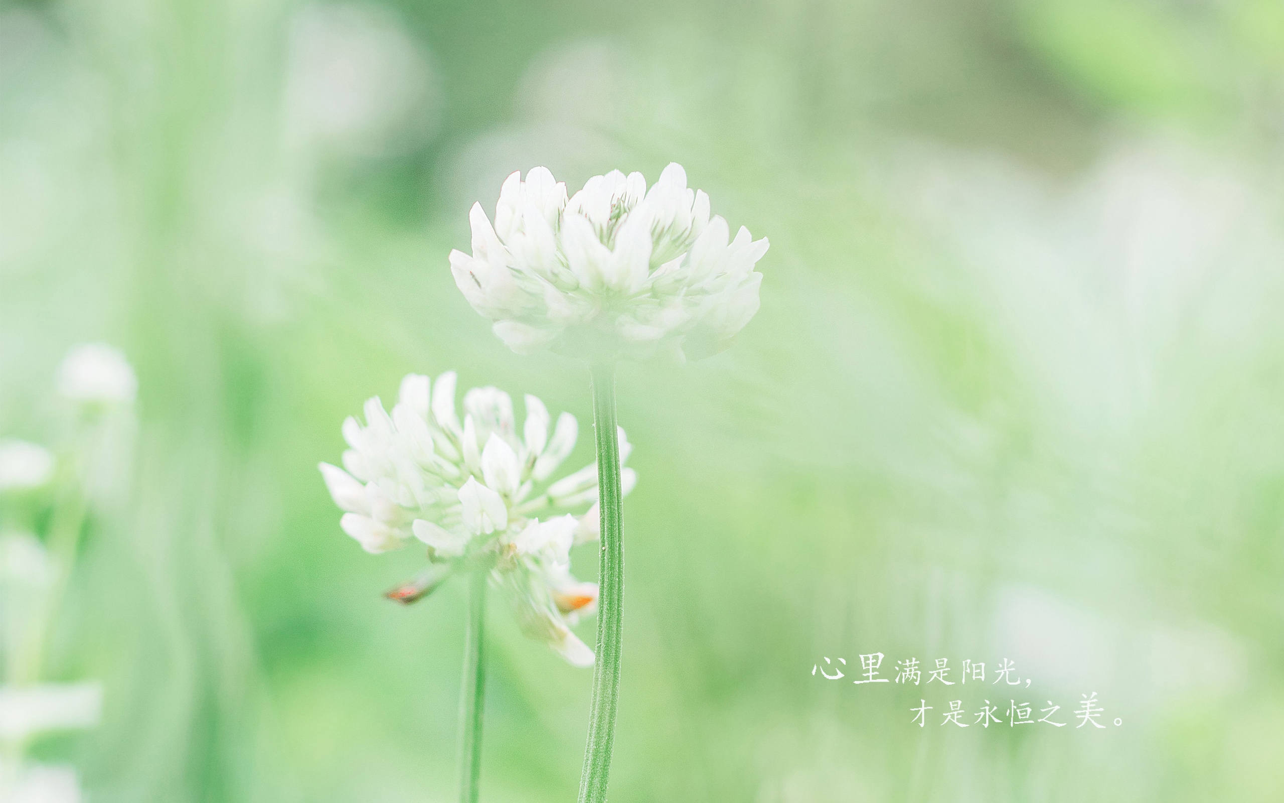 九月你好说说心情短语