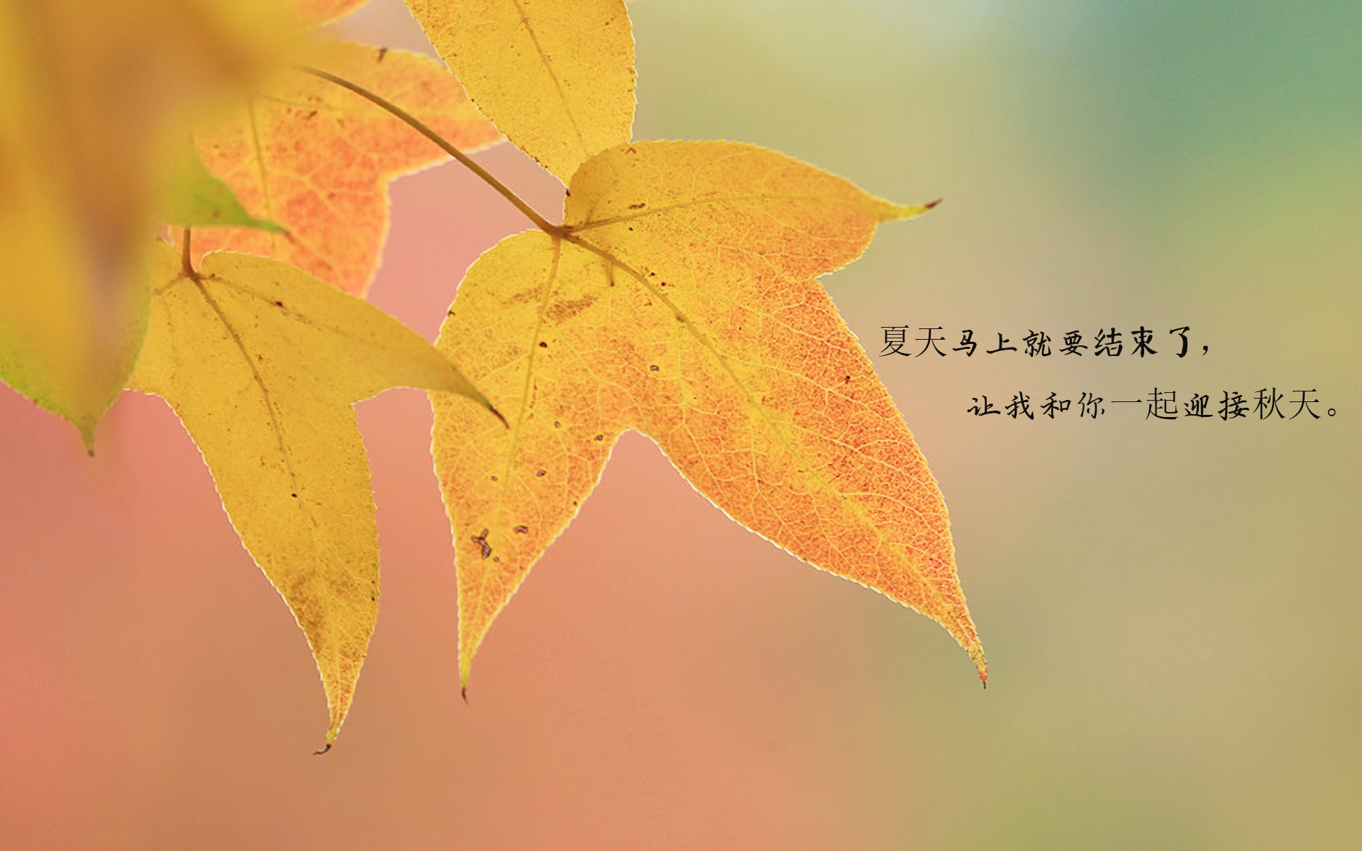 告别夏天迎接秋天的心情说说