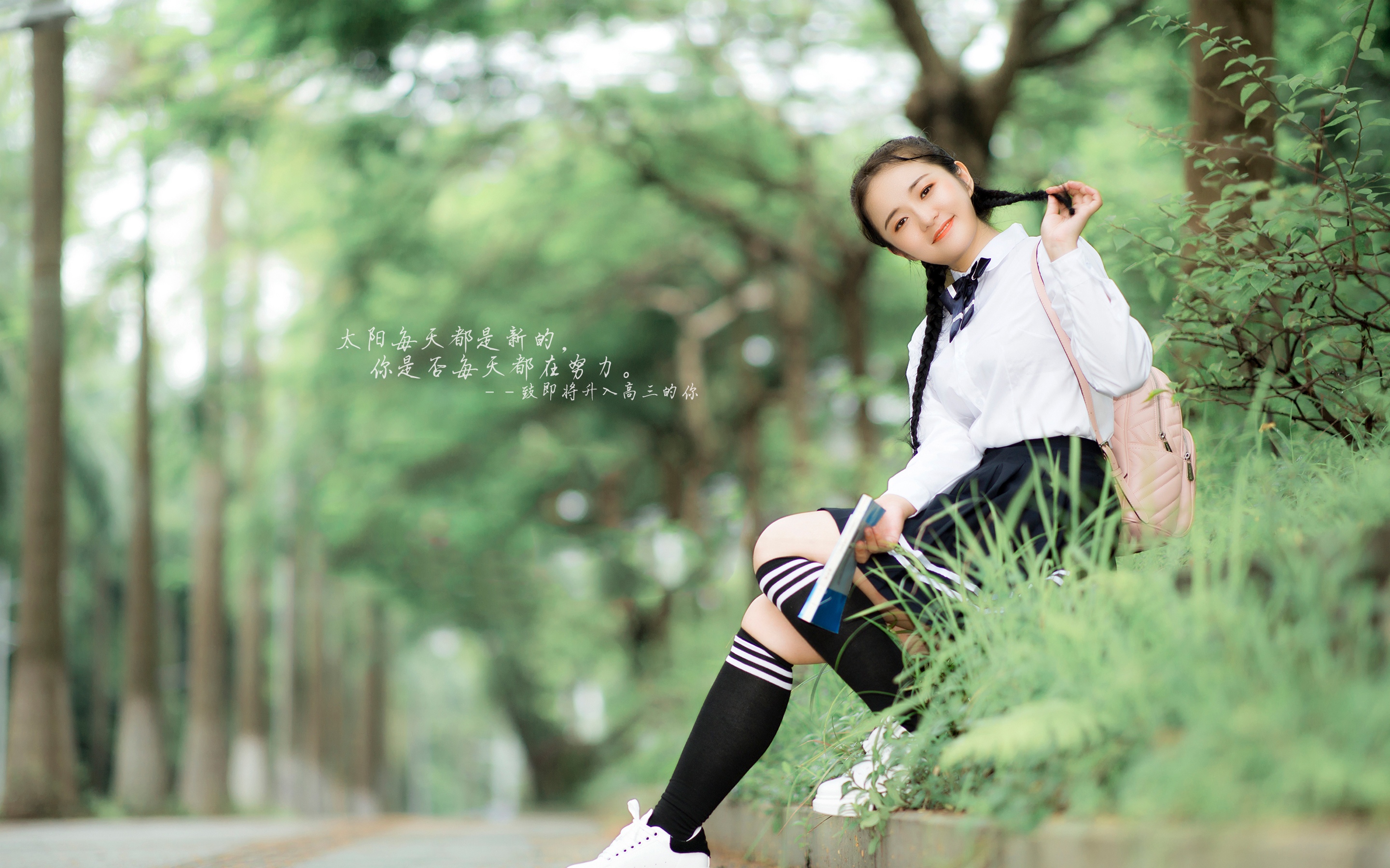 高二进入高三励志说说配图