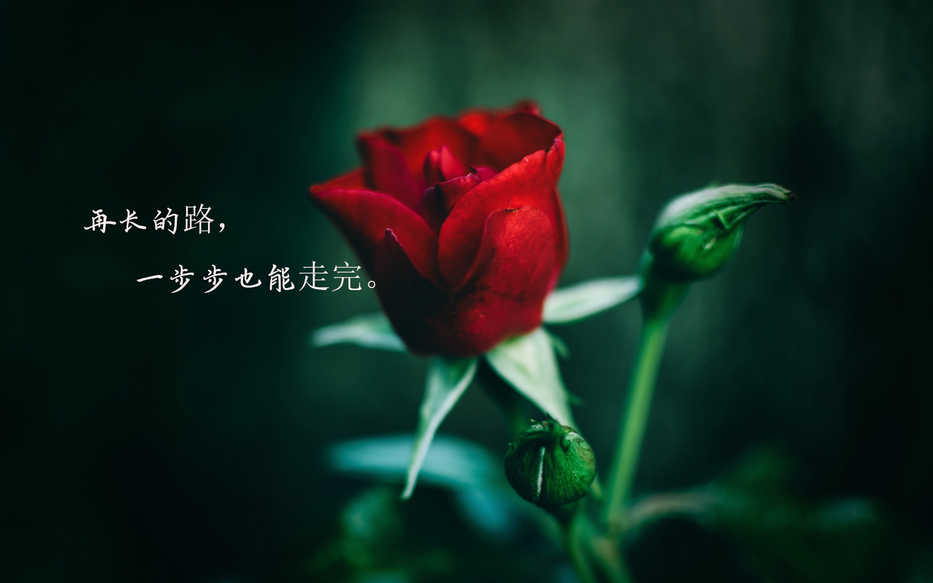别在负能量里浪费青春