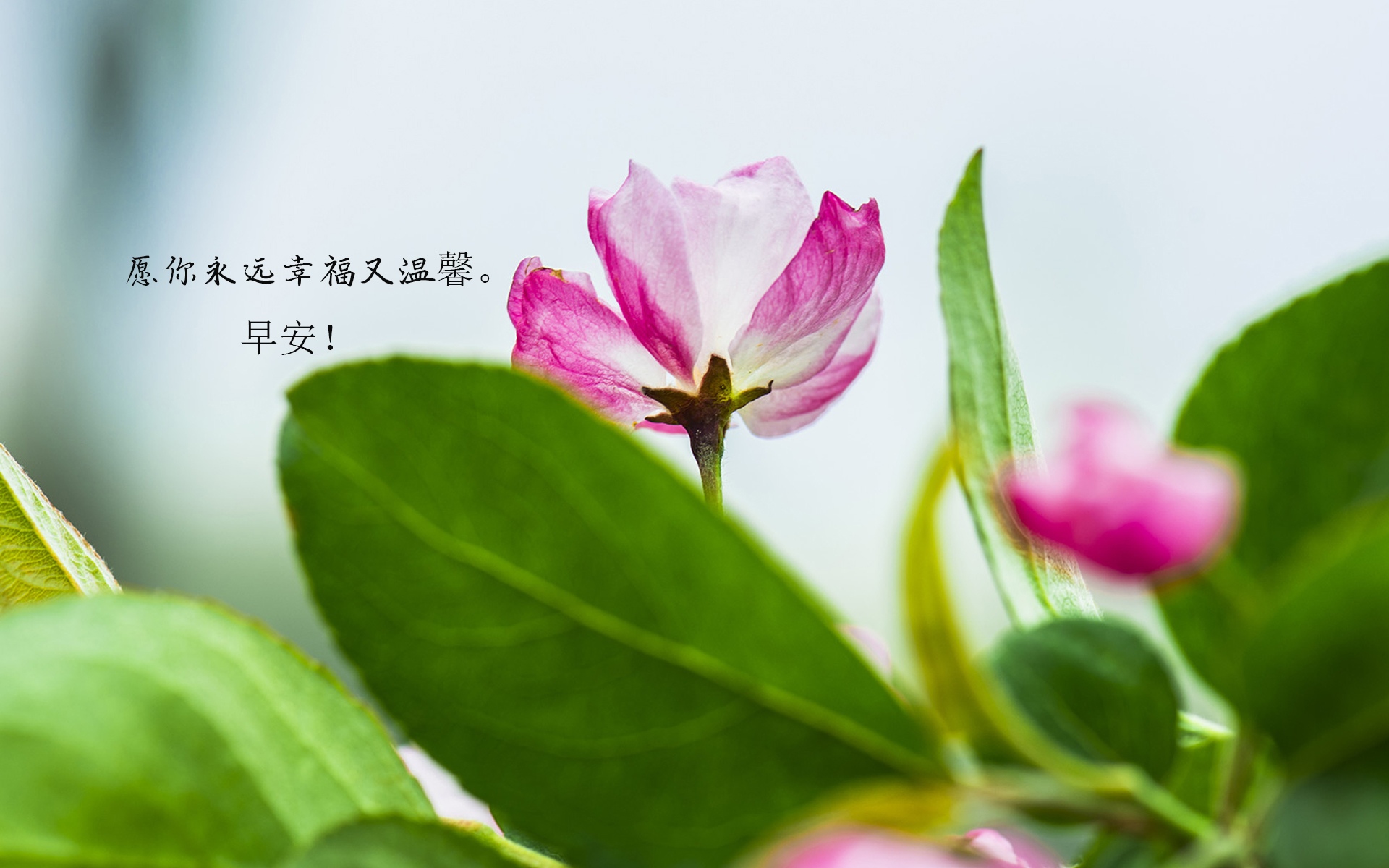 每月第一天早安语录