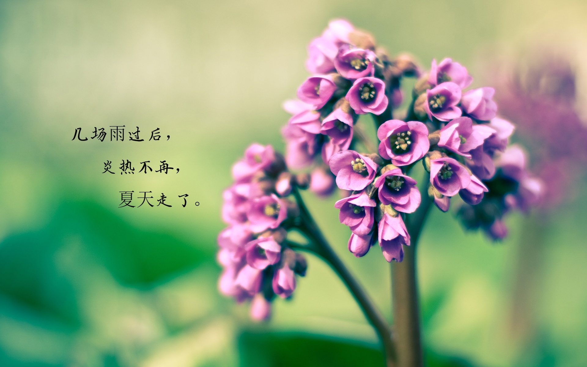 再见夏天,你好秋天