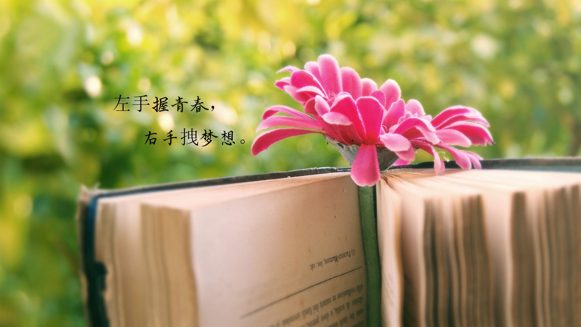 世界迎来开学季