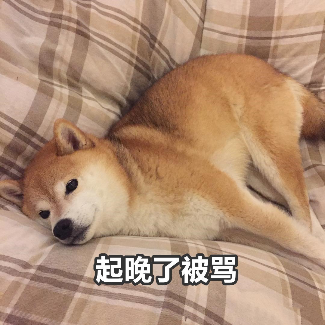 暑假时家长的真实状态