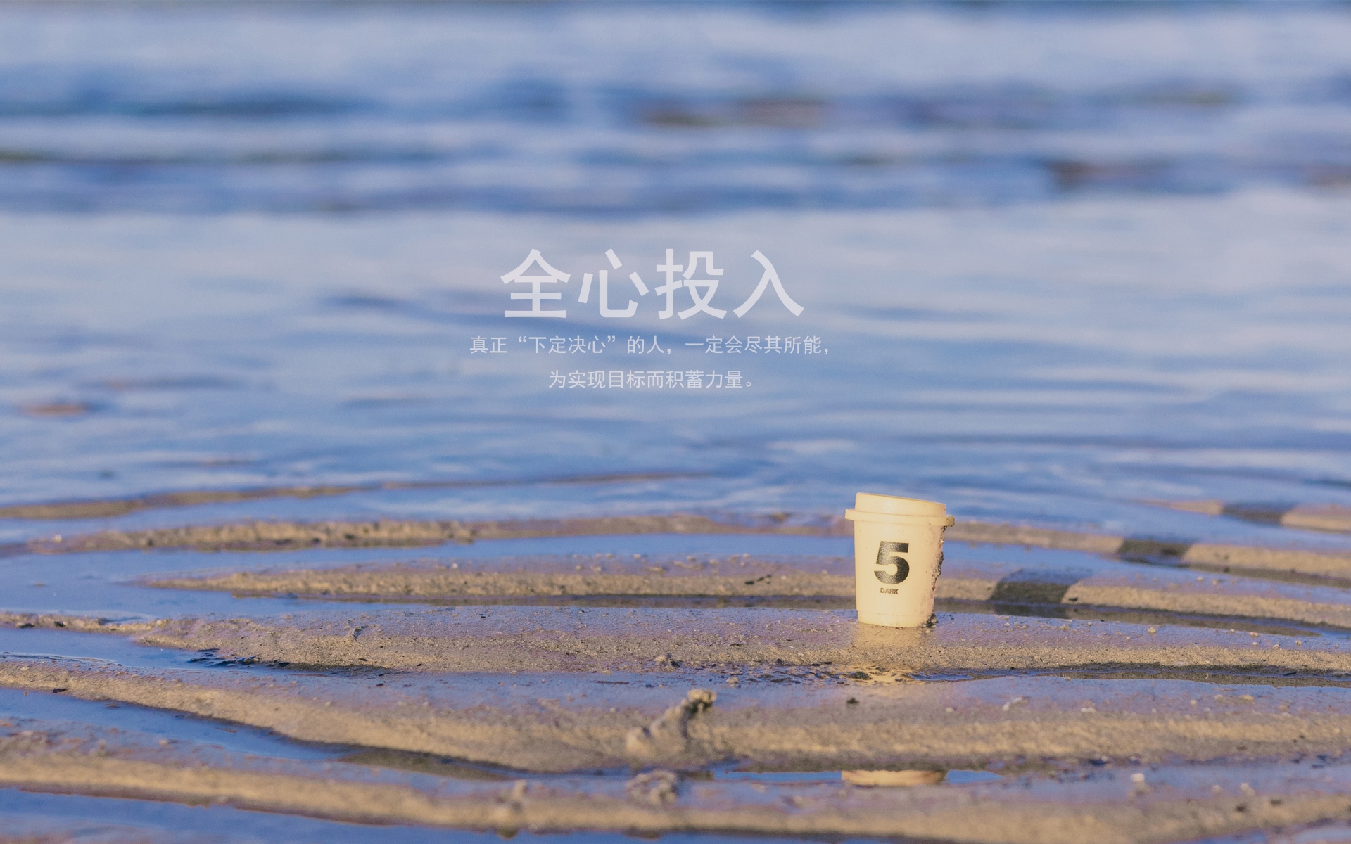 努力什么时候都不嫌晚