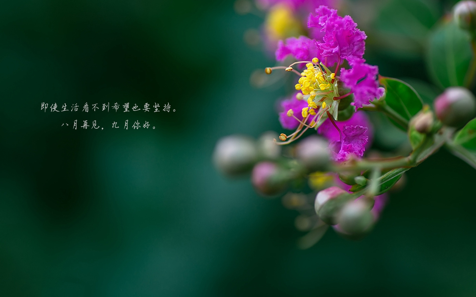 八月过完 九月你好