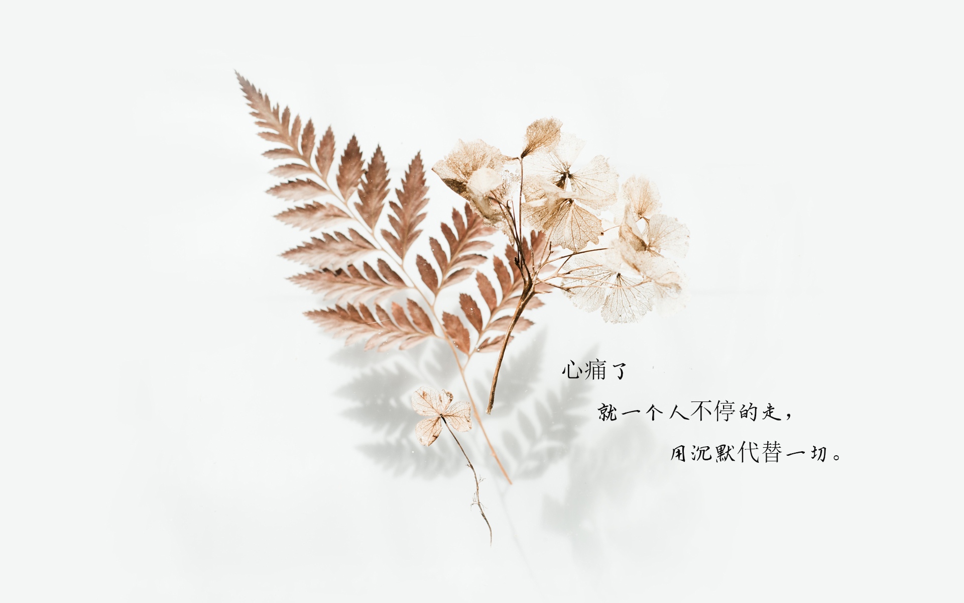 秋天的伤感说说配图