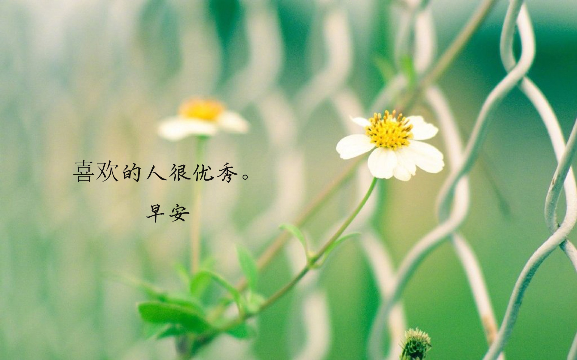 最新最暖的早安配图