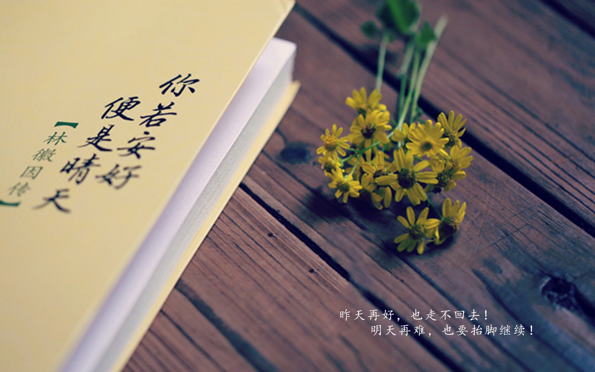 迎接新的一月心情语