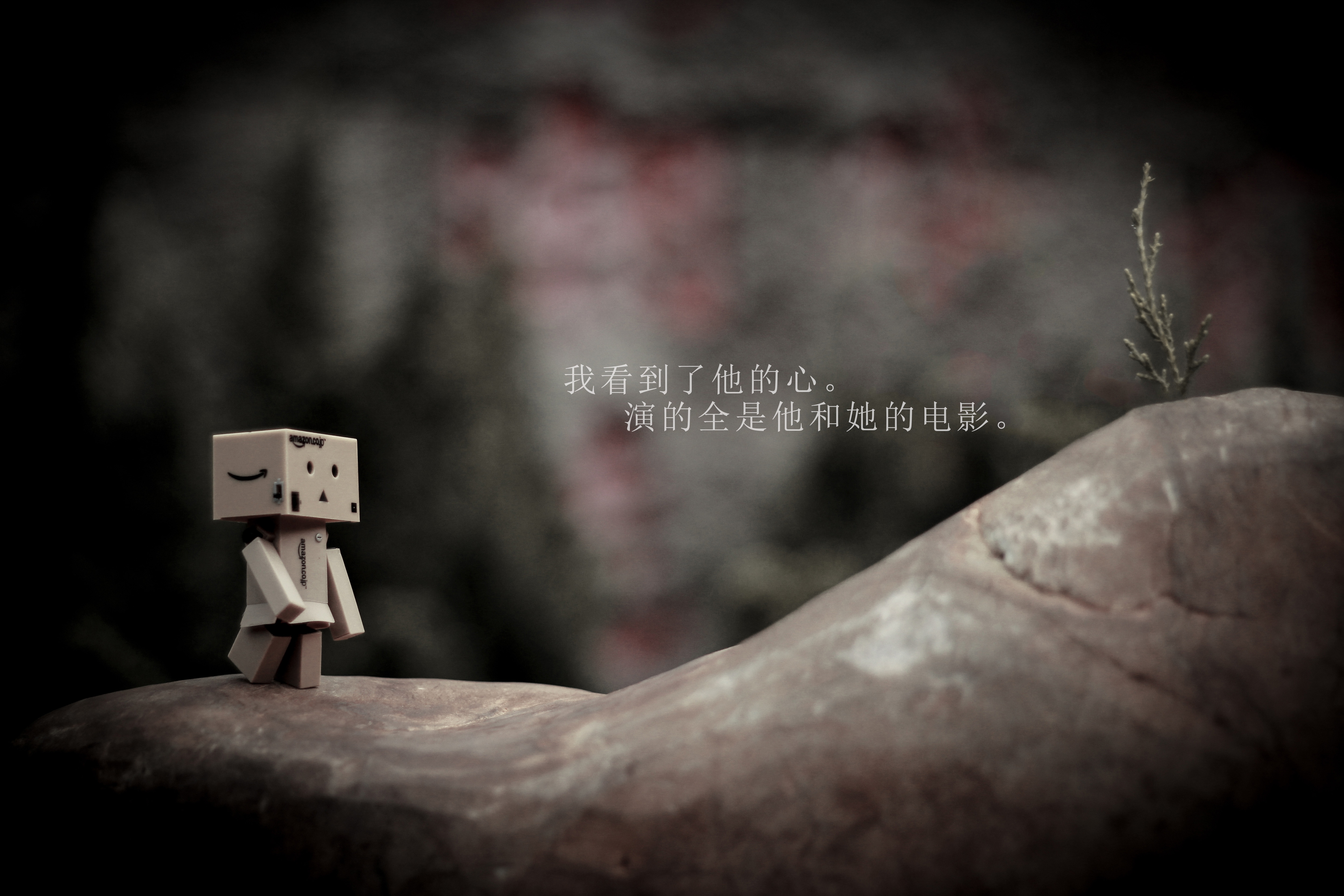每个月的最后一天伤感说说配图