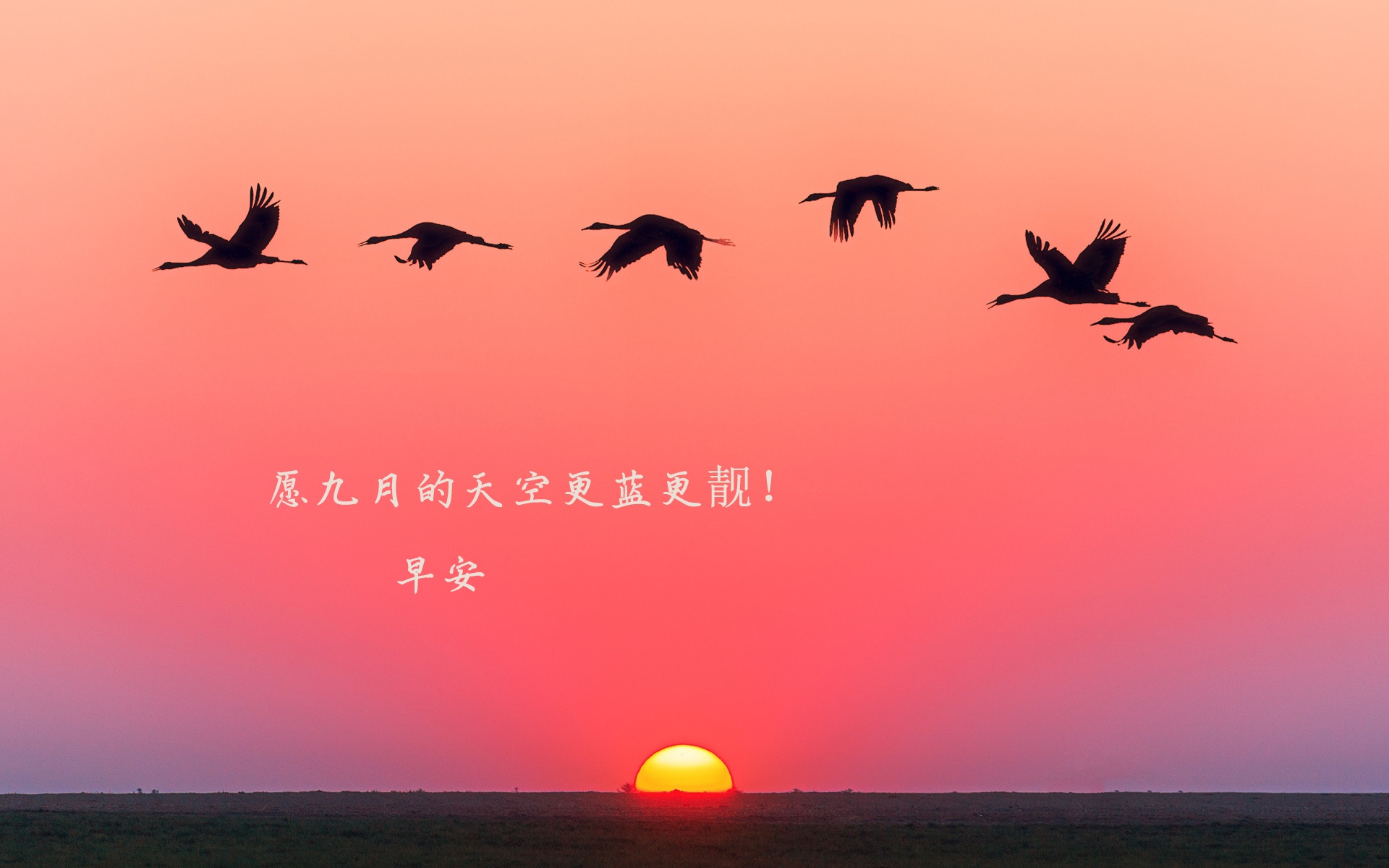 2019年励志早安心语