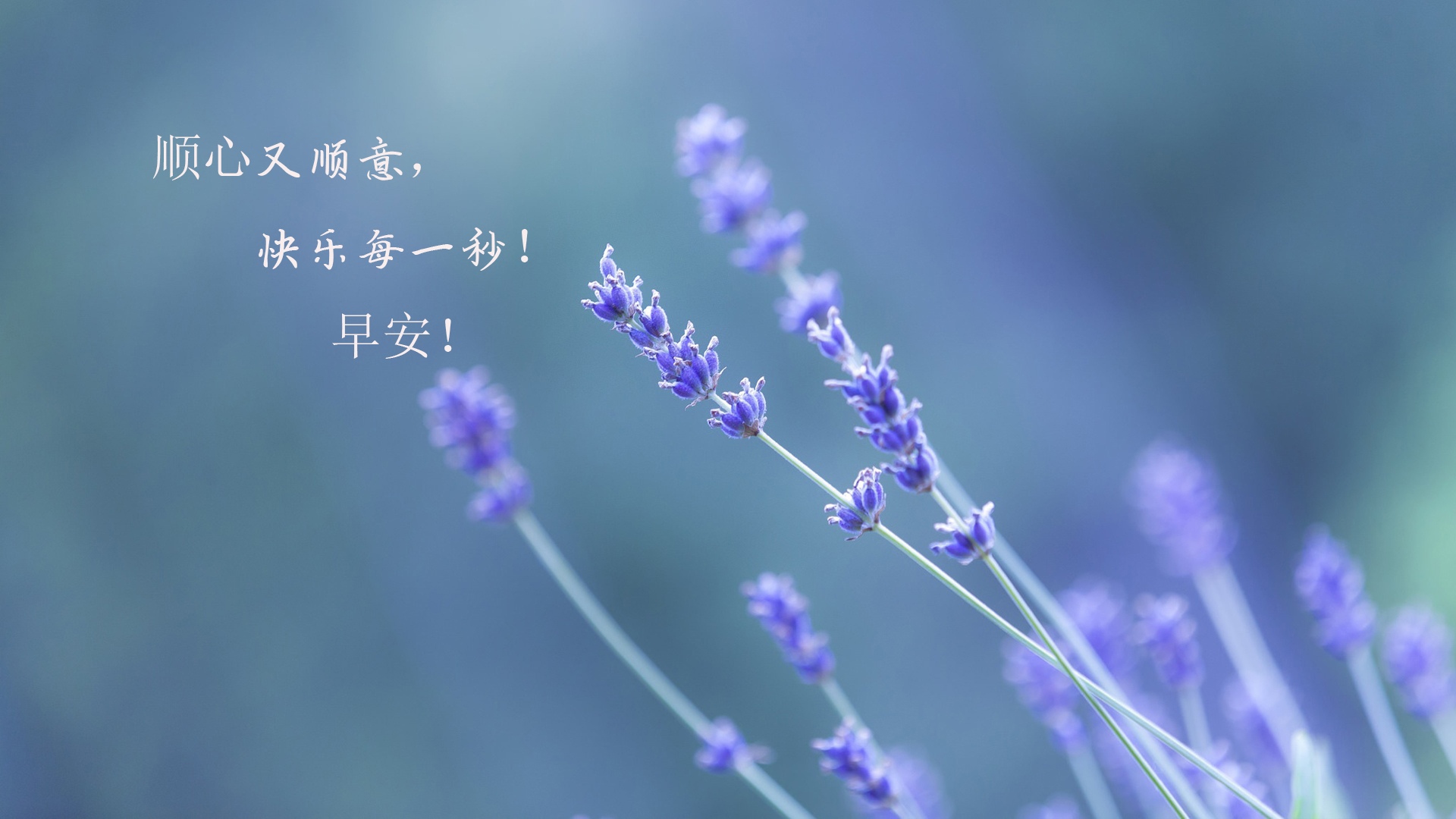 早安情感心语