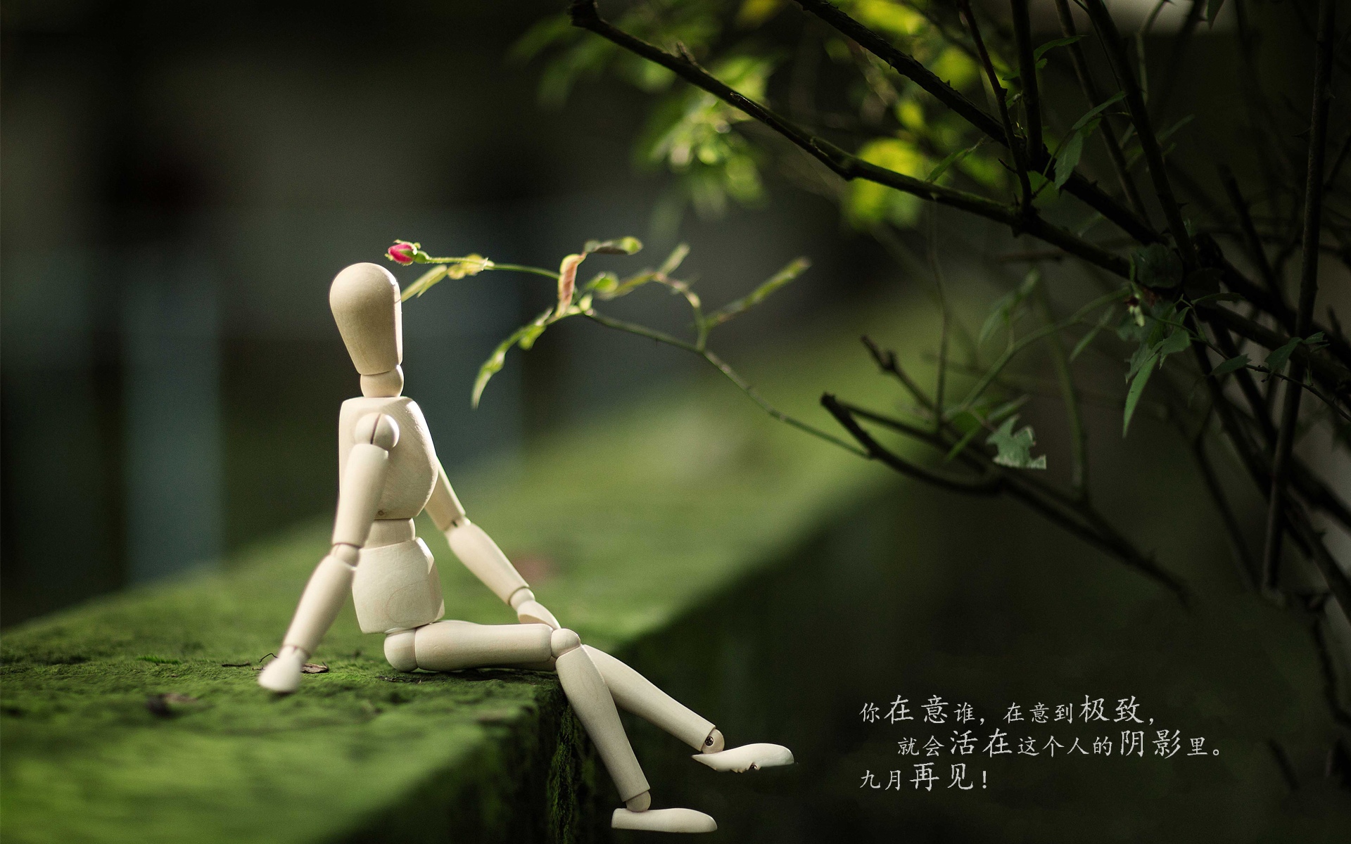 九月再见伤感一句话配图