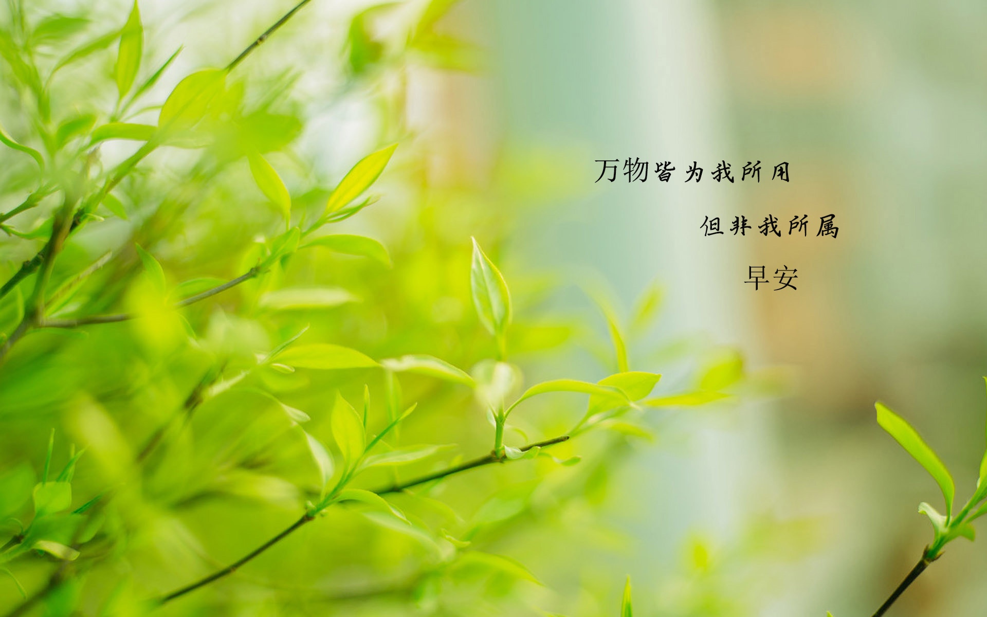 朋友圈最暖心的早安心语