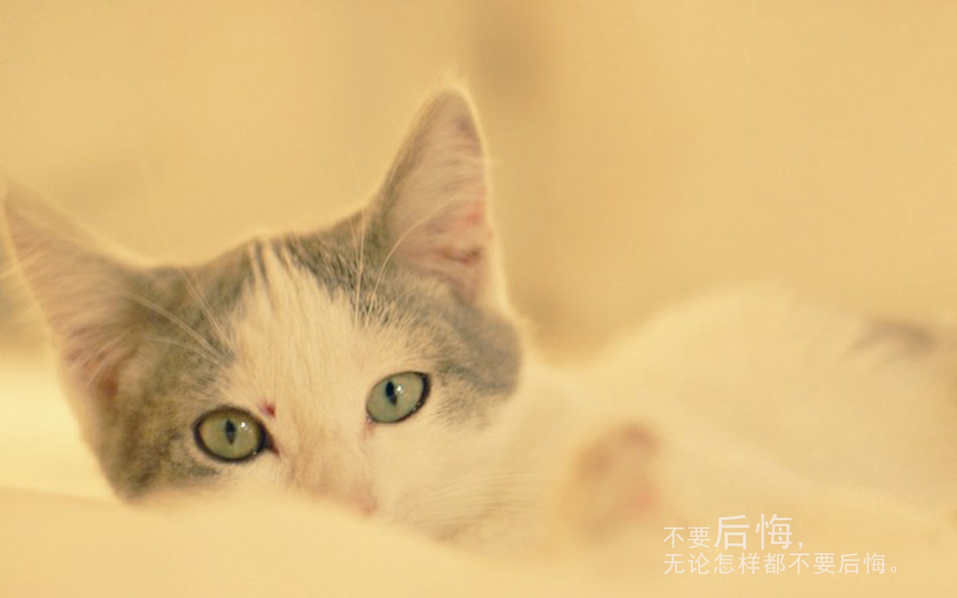 十月第一天早安心语