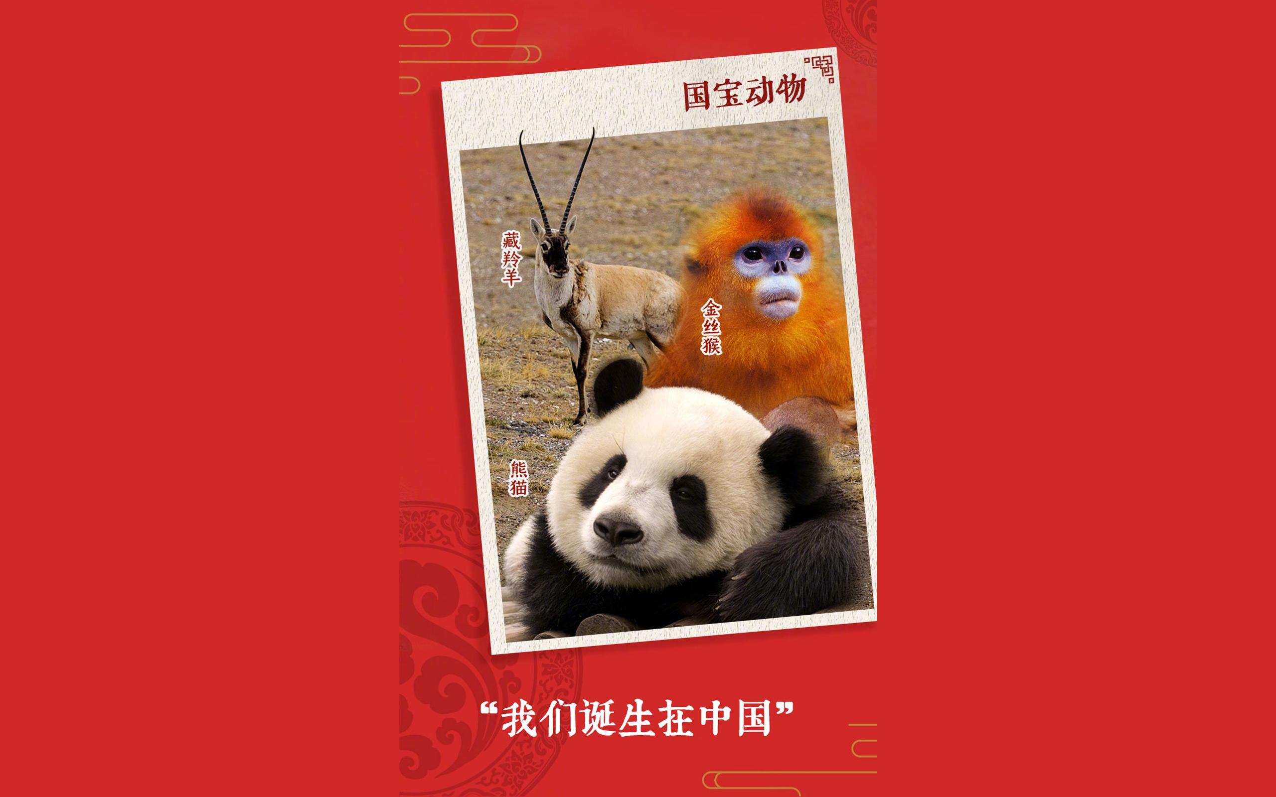 你心目中的祖国名片