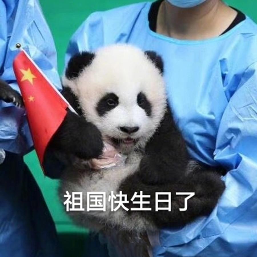 脑子里全是祖国生日