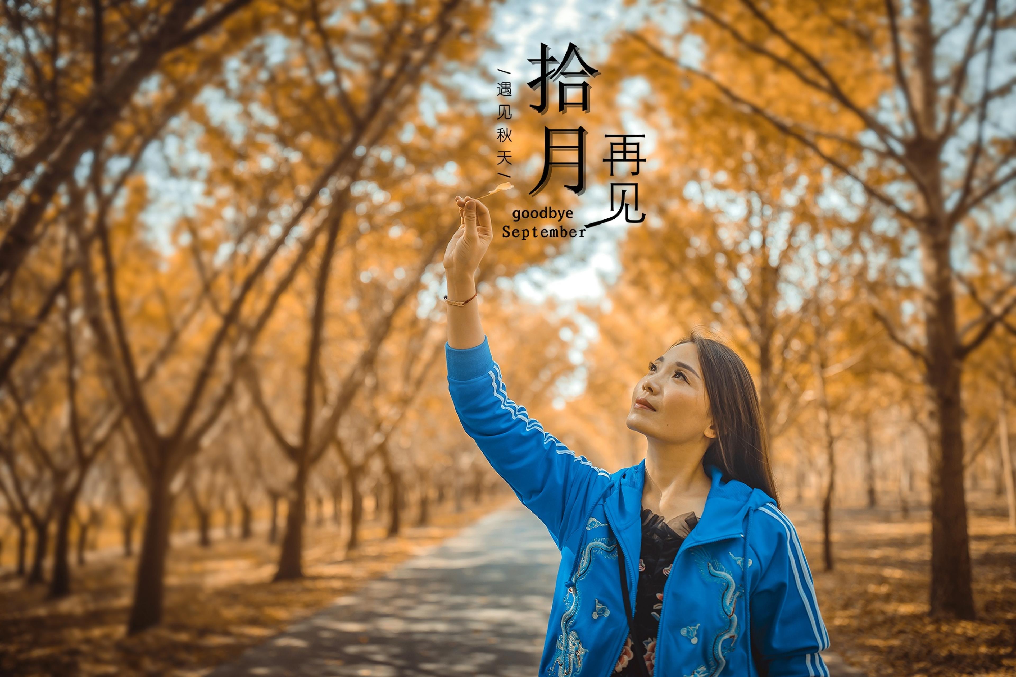 遇见秋天,十月再见
