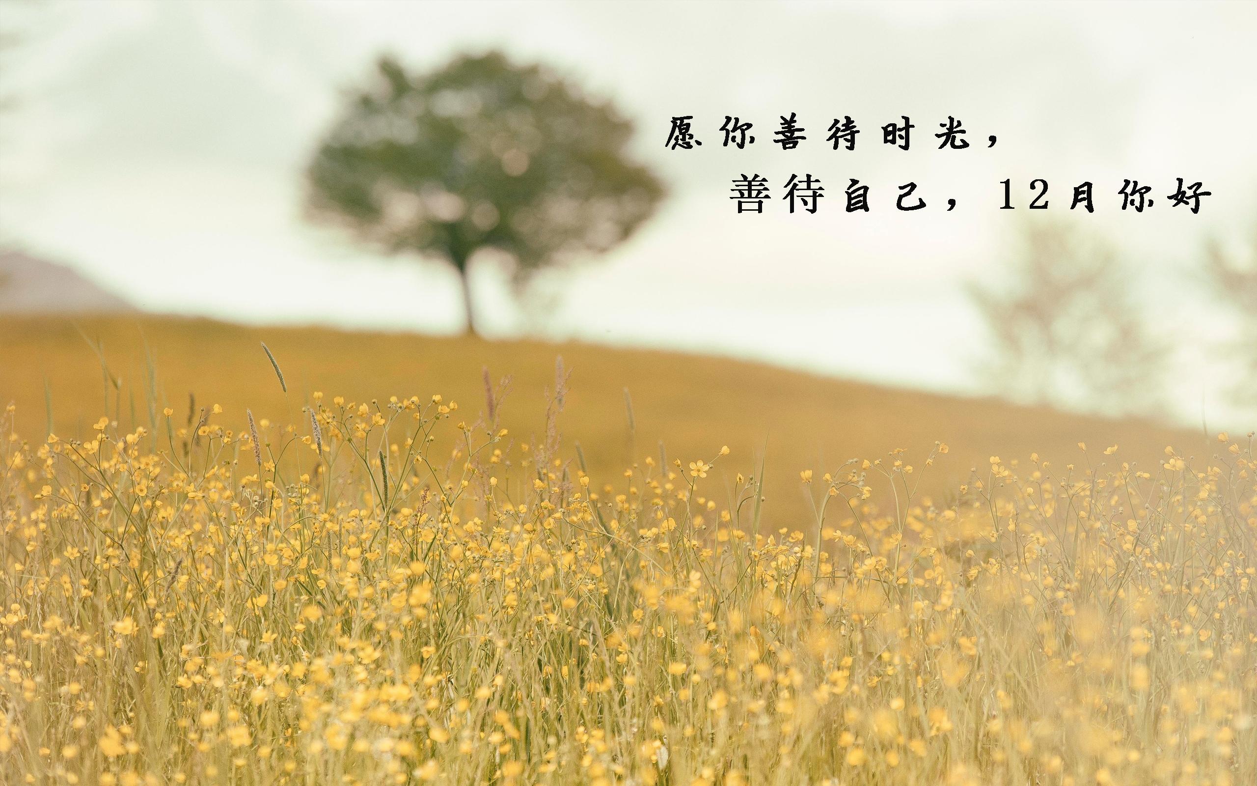 12月你好,请好好的善待自己